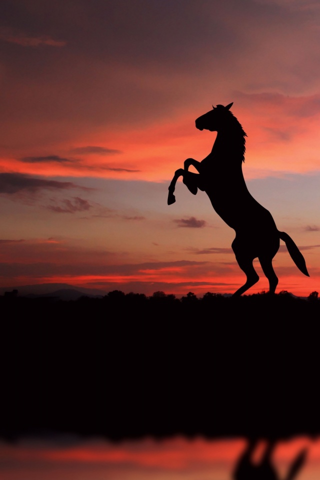 Horse Facebook Covers - HD Wallpaper 