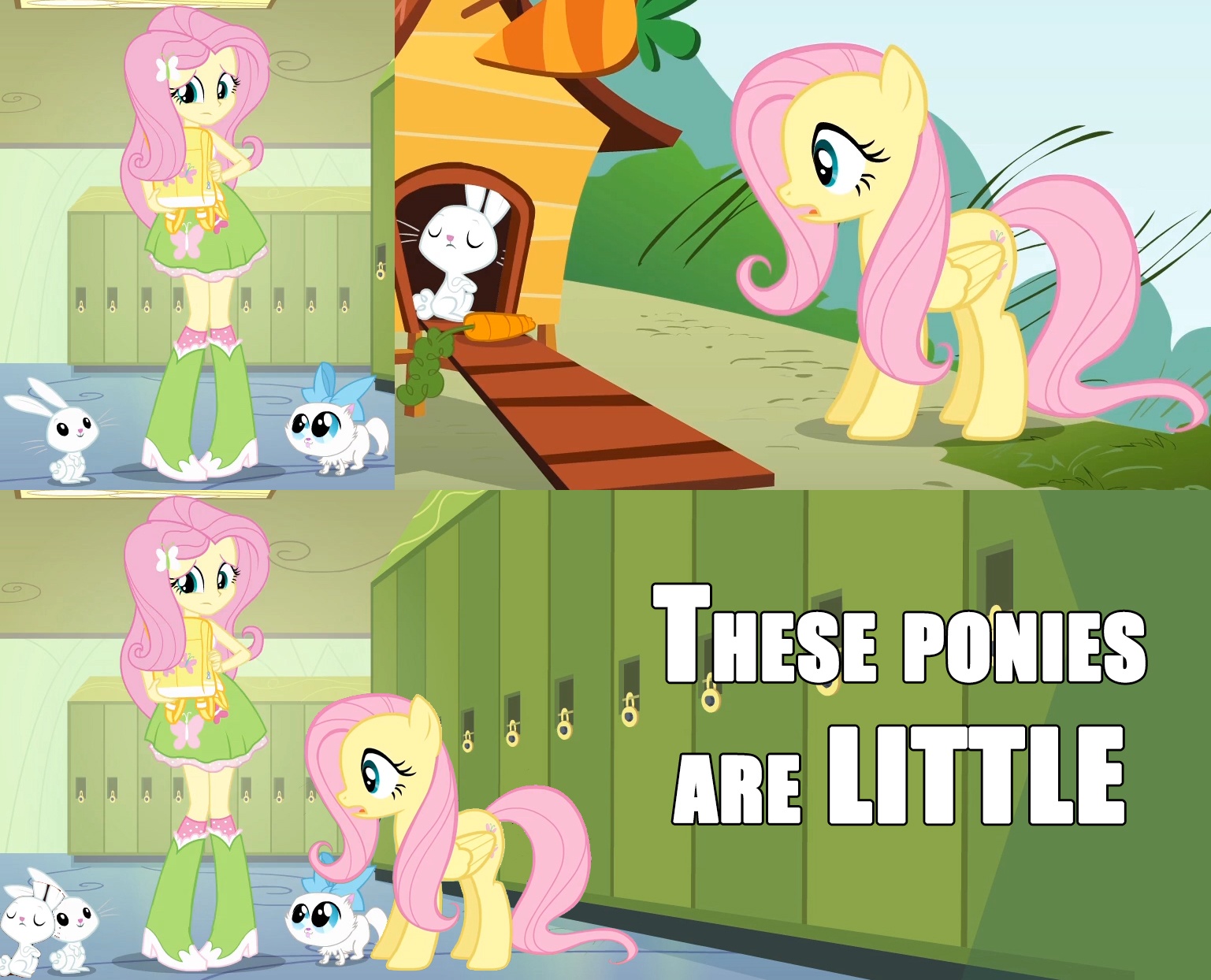 387884 Safe Fluttershy Equestria%2bgirl - HD Wallpaper 