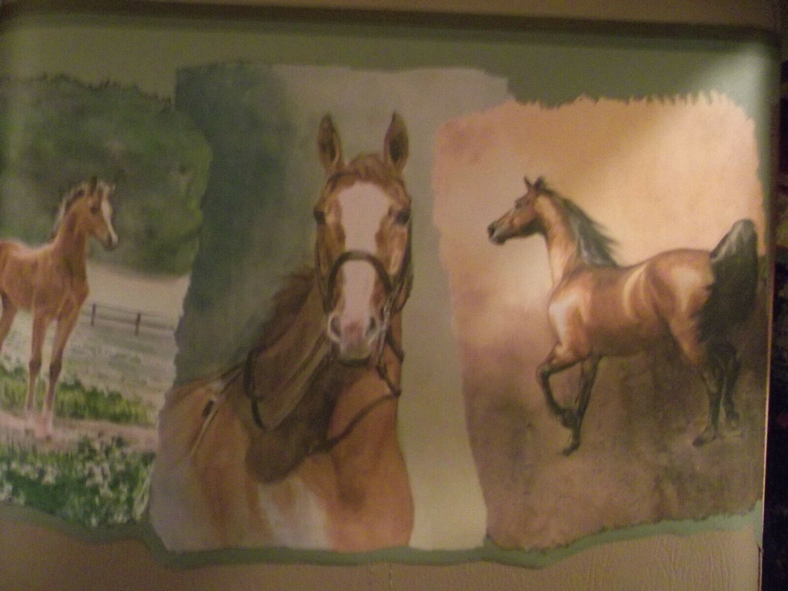 Stallion - HD Wallpaper 