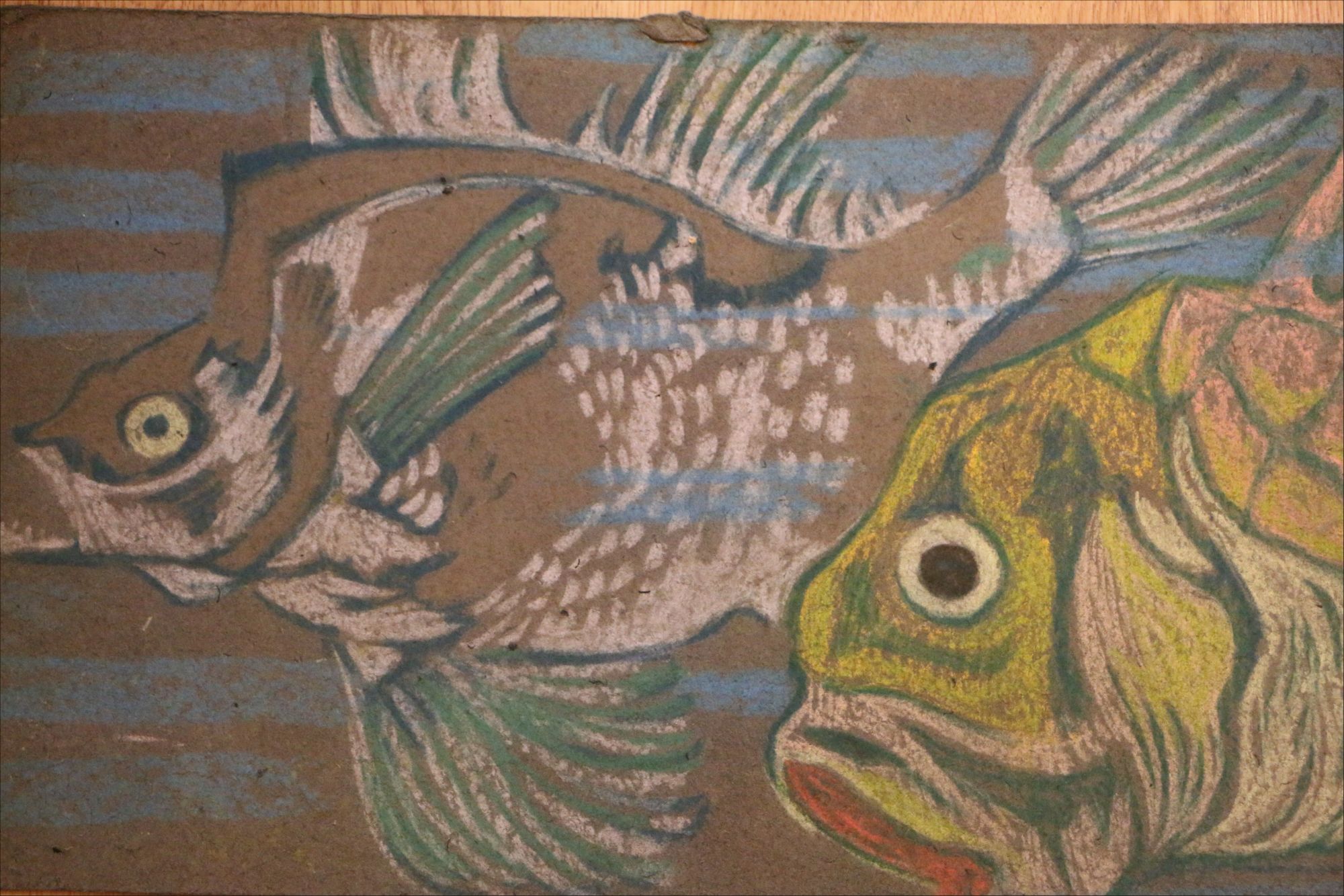 Coral Reef Fish - HD Wallpaper 