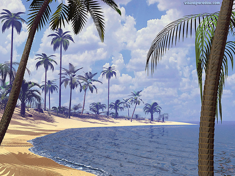Palms, Ocean, Water, Waves, Deserted, Sand, Surf, Sun, - 3d Beach & Palm Trees - HD Wallpaper 