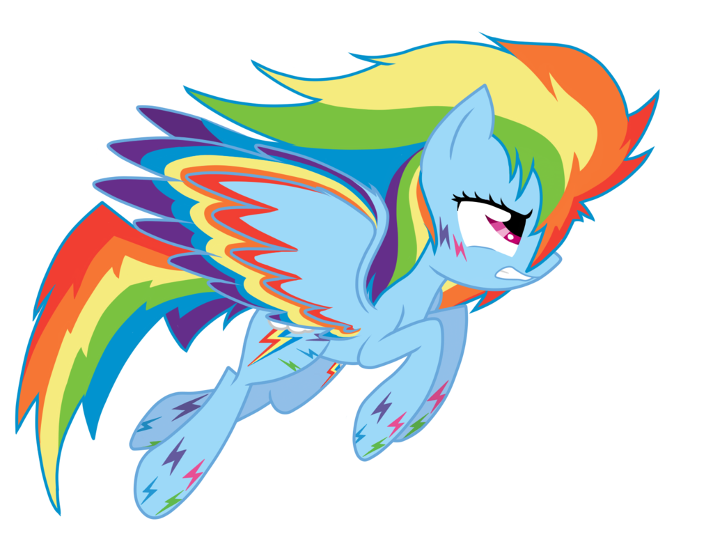 Raimbow Dash Alicorn - HD Wallpaper 