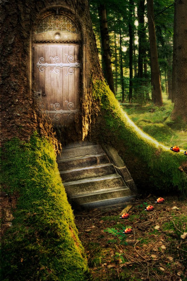 Magic Forest Wallpaper Iphone - HD Wallpaper 