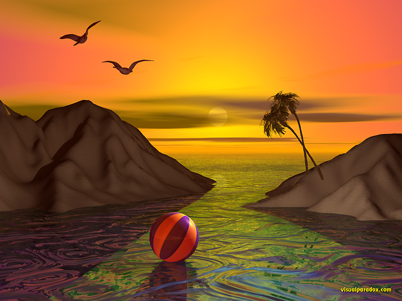 Ocean, Ripples, Sea, Palm Trees, Sunset, Sunrise, Seagulls, - Wallpaper - HD Wallpaper 