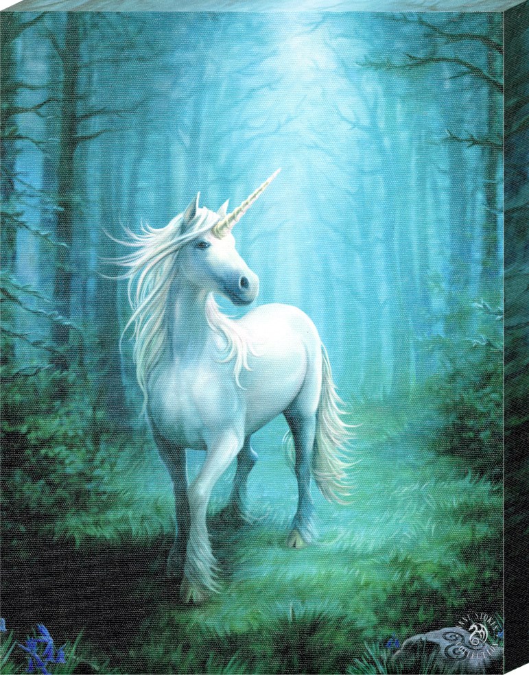 Front - Unicorn Real Life Magic - HD Wallpaper 