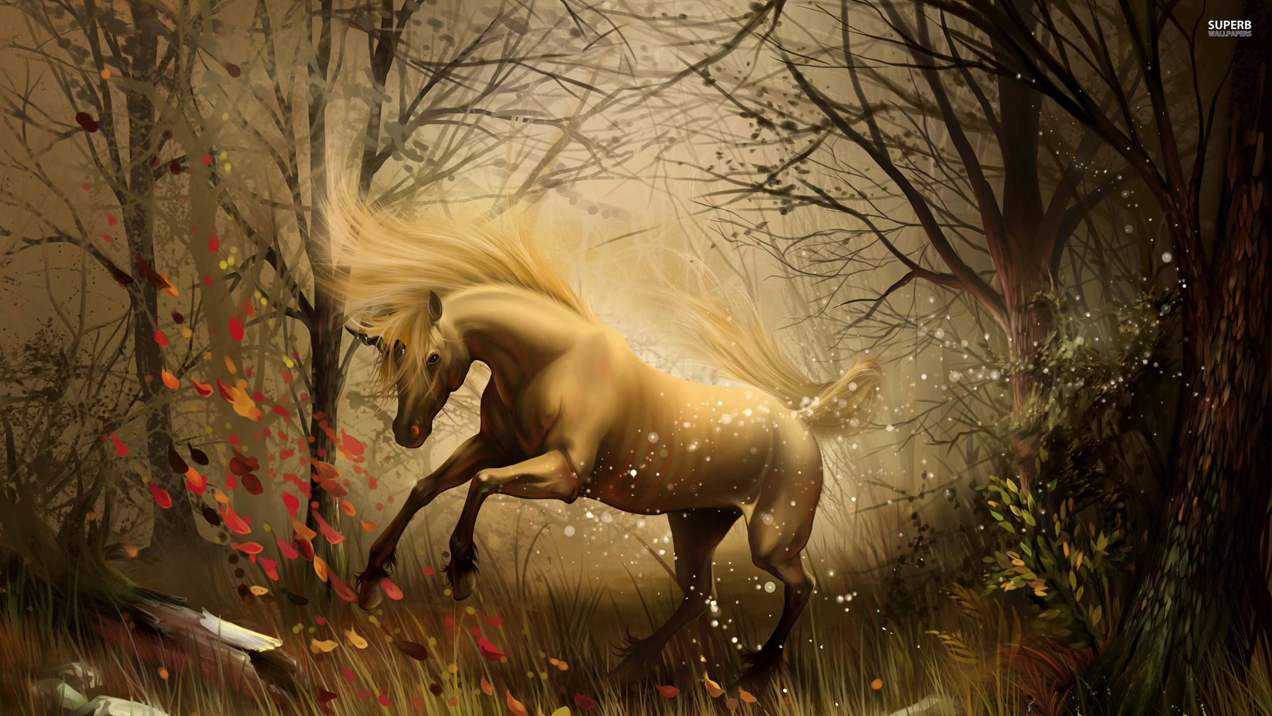 Unicorn In Enchanted Forest - HD Wallpaper 