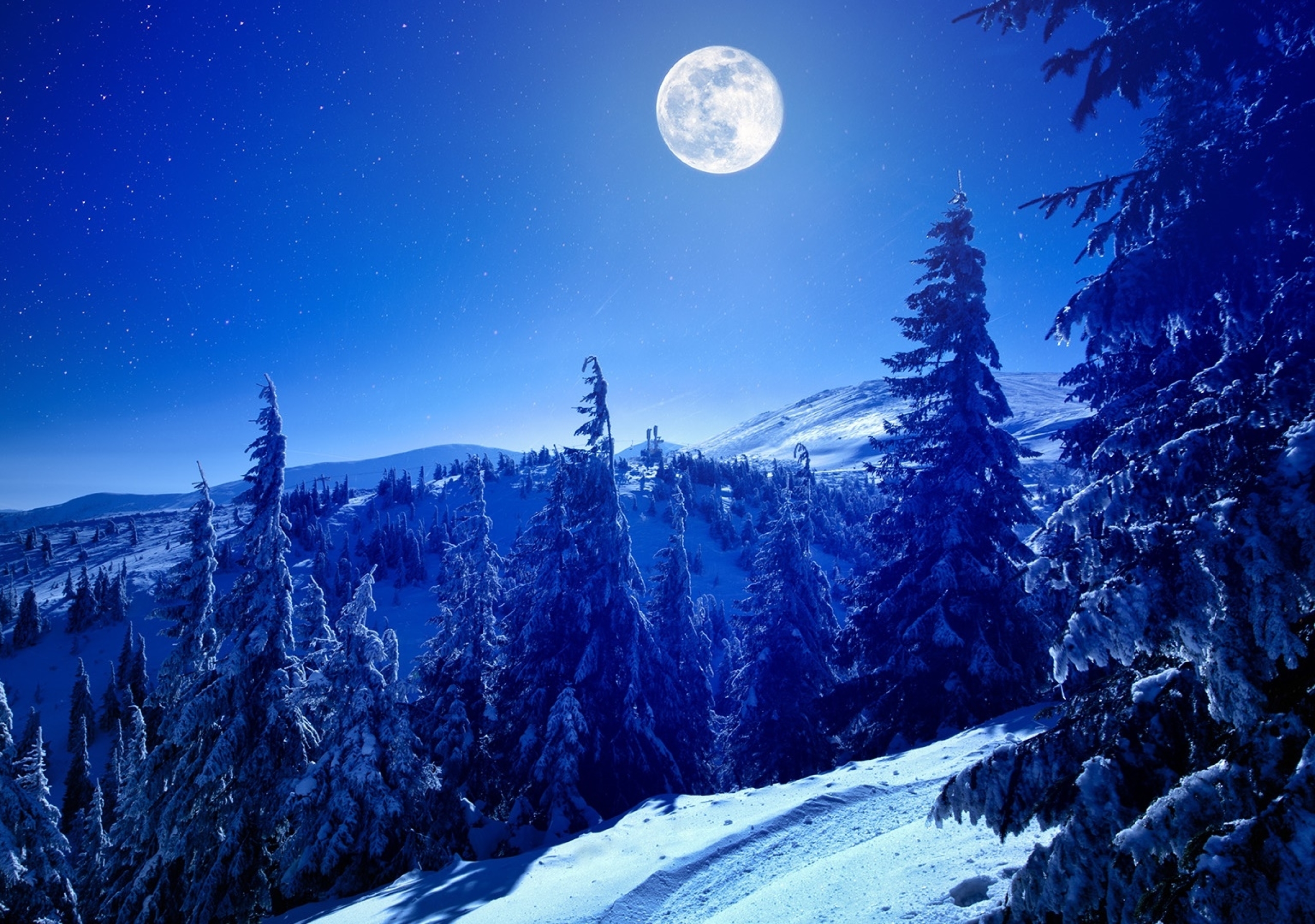Winter Themes - HD Wallpaper 