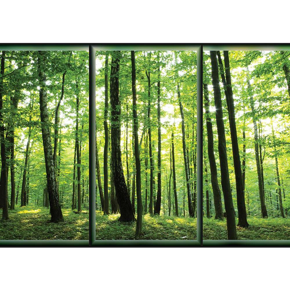 Erdő Poszter - HD Wallpaper 