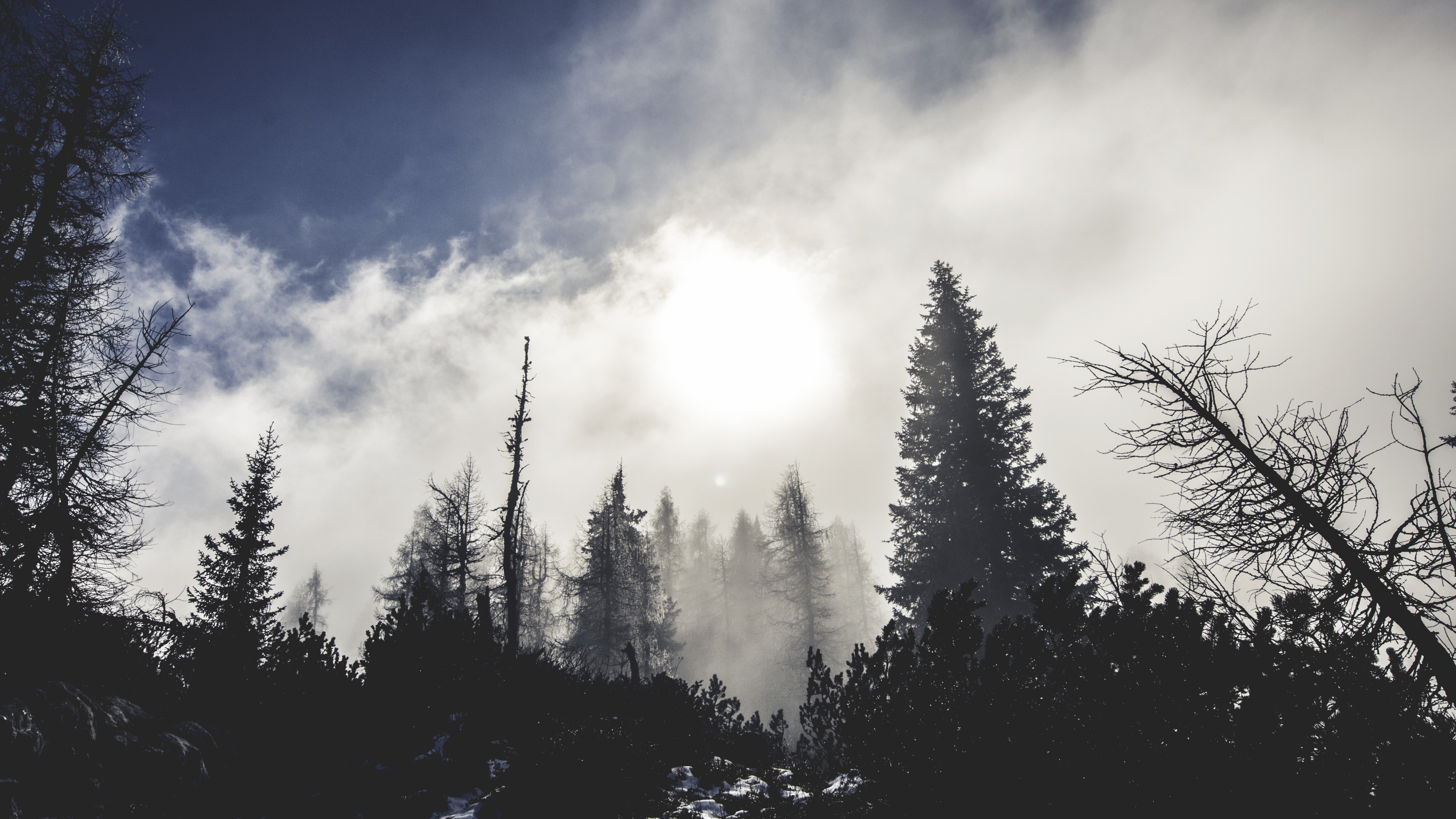 Hi Res Polyscape - HD Wallpaper 