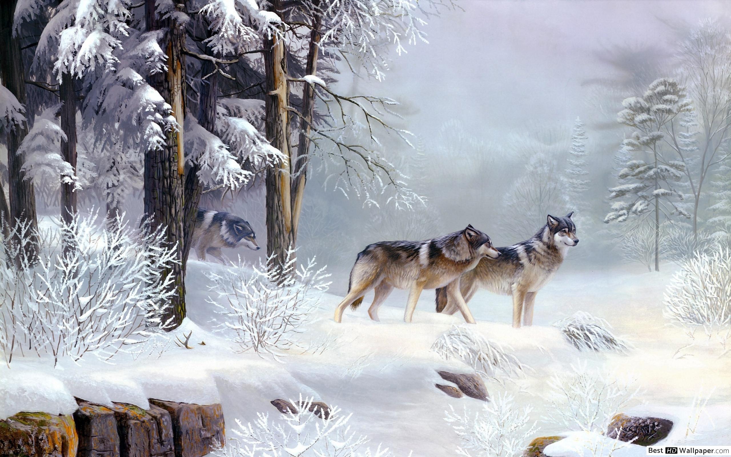 Wolves In Winter Forest - HD Wallpaper 