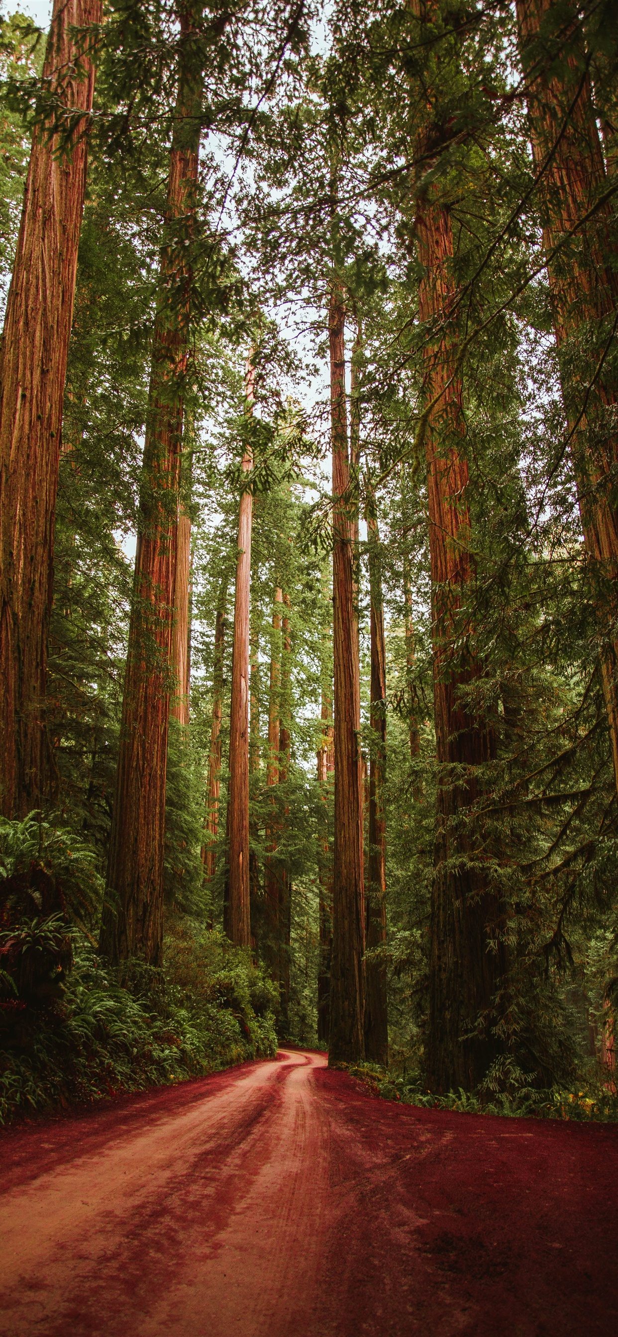 New Year's Resolution As A Couple - HD Wallpaper 