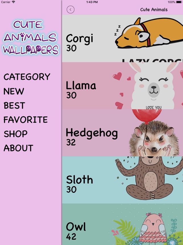 Hedgehog Kawaii - HD Wallpaper 