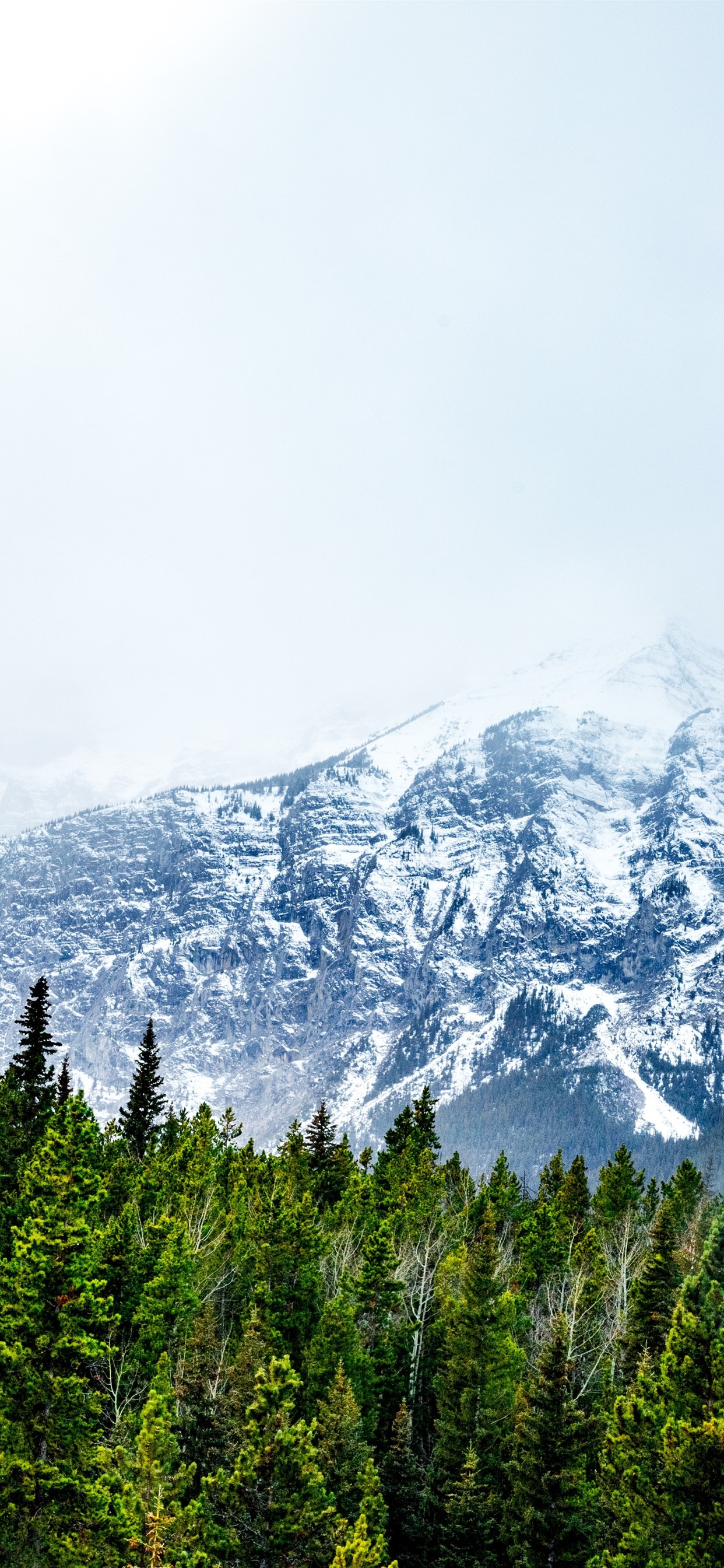 Iphone Wallpaper Snowy Mountains, Forest, Fog - 5k Snow Mountain - HD Wallpaper 