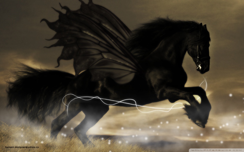 Pegasus Dark - HD Wallpaper 