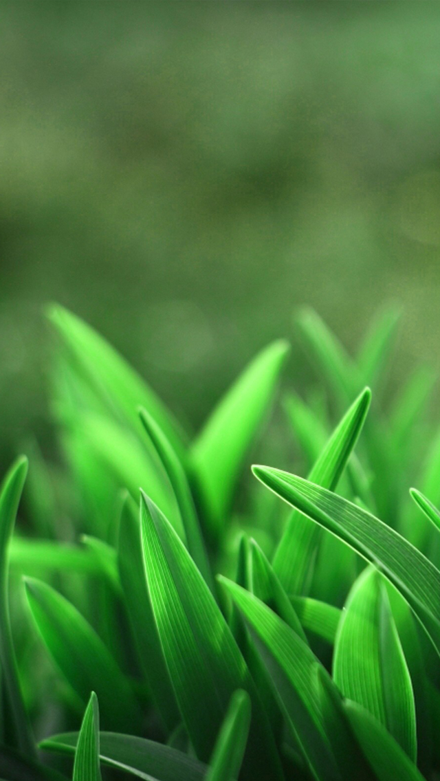 Samsung J7 Wallpaper Hd 1080p - HD Wallpaper 