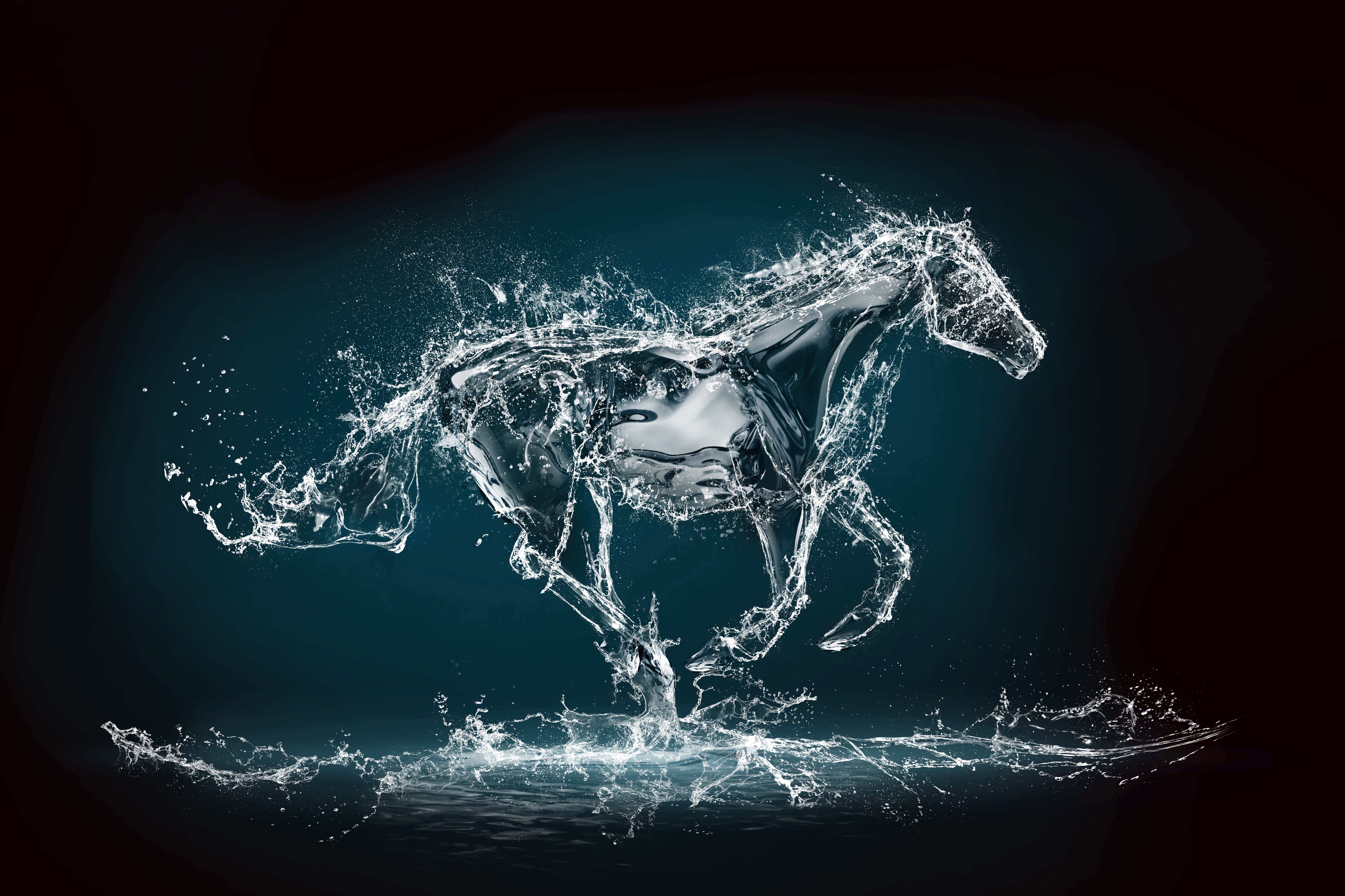 Wallpaper Kuda - HD Wallpaper 