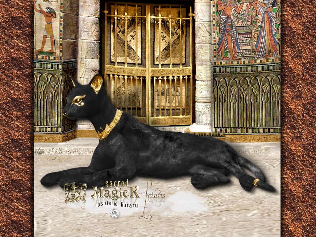 Cattle - HD Wallpaper 