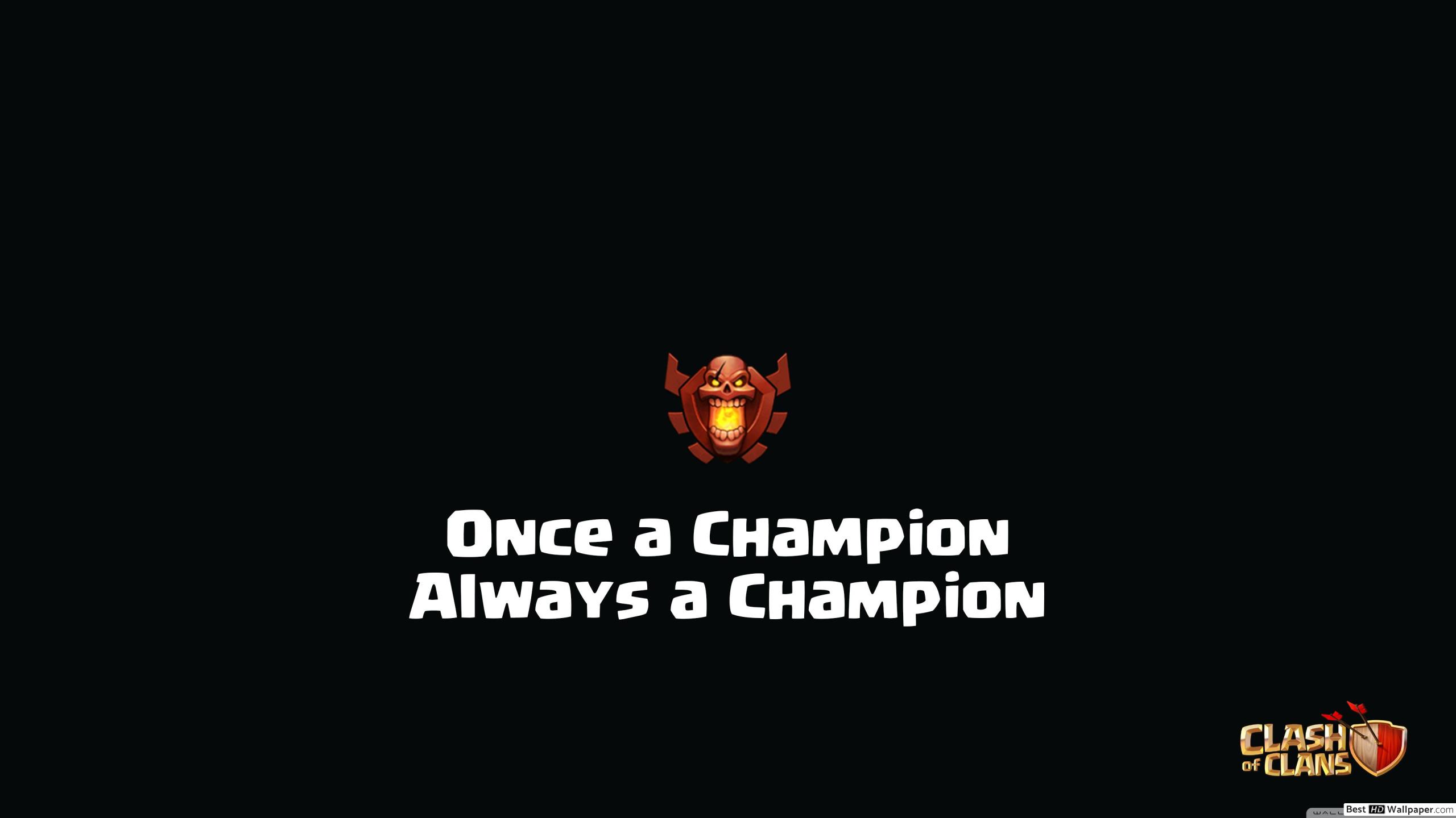 Warwick Bass Wallpaper Hd - HD Wallpaper 