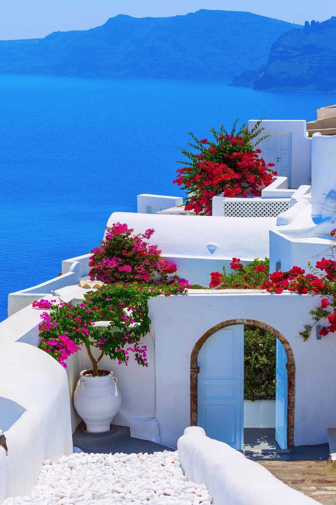 Greece Santorini White House Flowers Sea - Greece Houses With Flowers - HD Wallpaper 