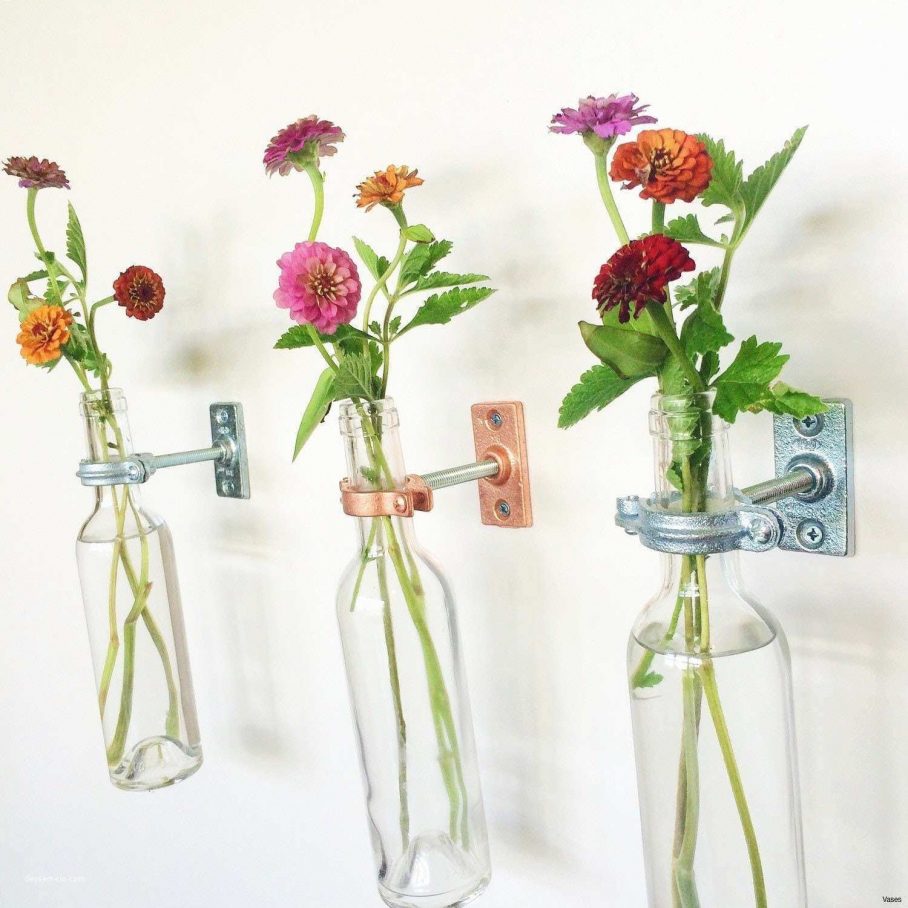Wall Plate Hangers Bunnings Hobby Lobby Lowes Hanger - Flower Vases On Wall - HD Wallpaper 