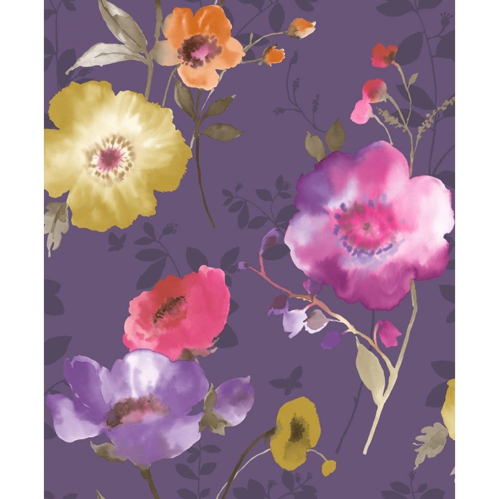 Morning Glory - HD Wallpaper 