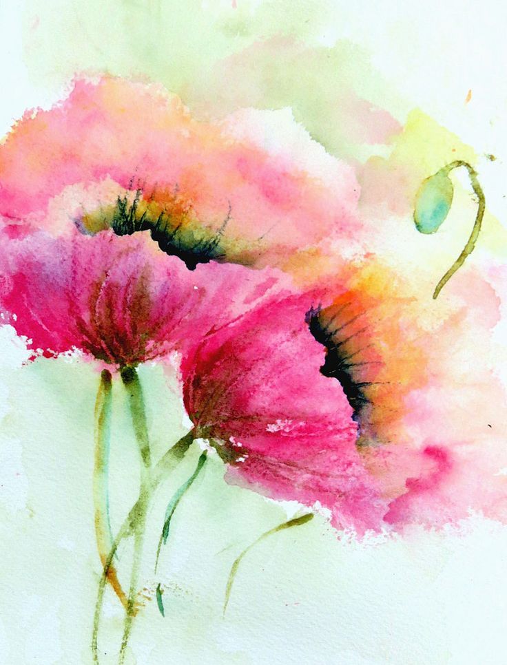 5 Kbytes, Wallpaper - Watercolor Flowers Paintings - HD Wallpaper 