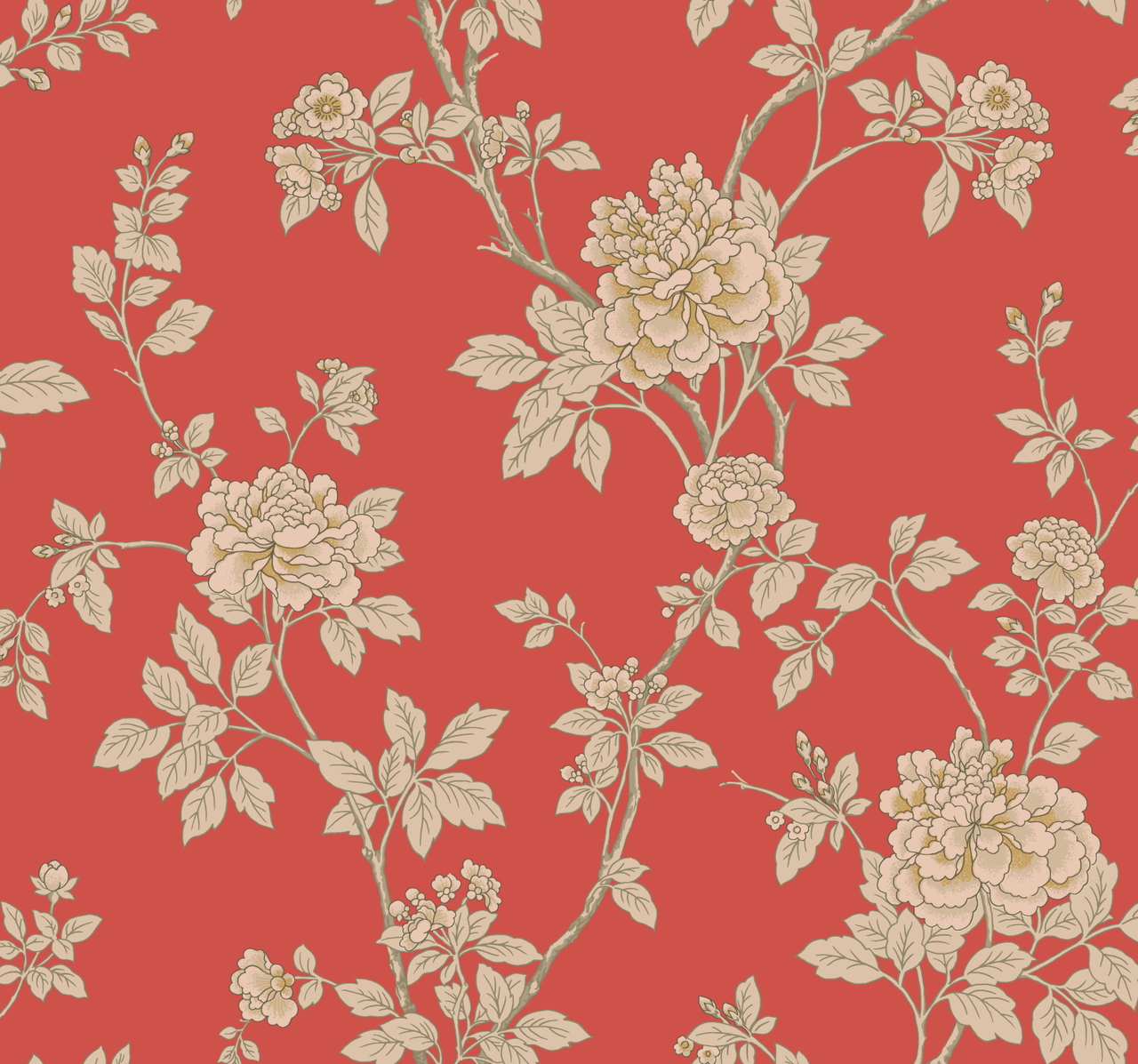 Chinese Peony - HD Wallpaper 