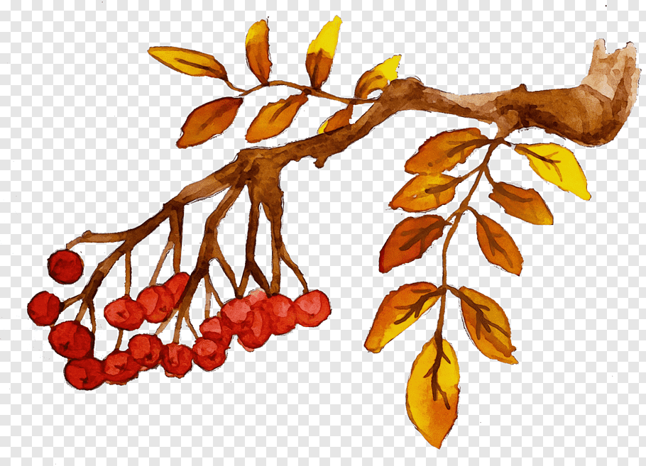 Watercolor Flower, Paint, Wet Ink, Desktop Wallpaper, - Beautiful Welcome July Month - HD Wallpaper 