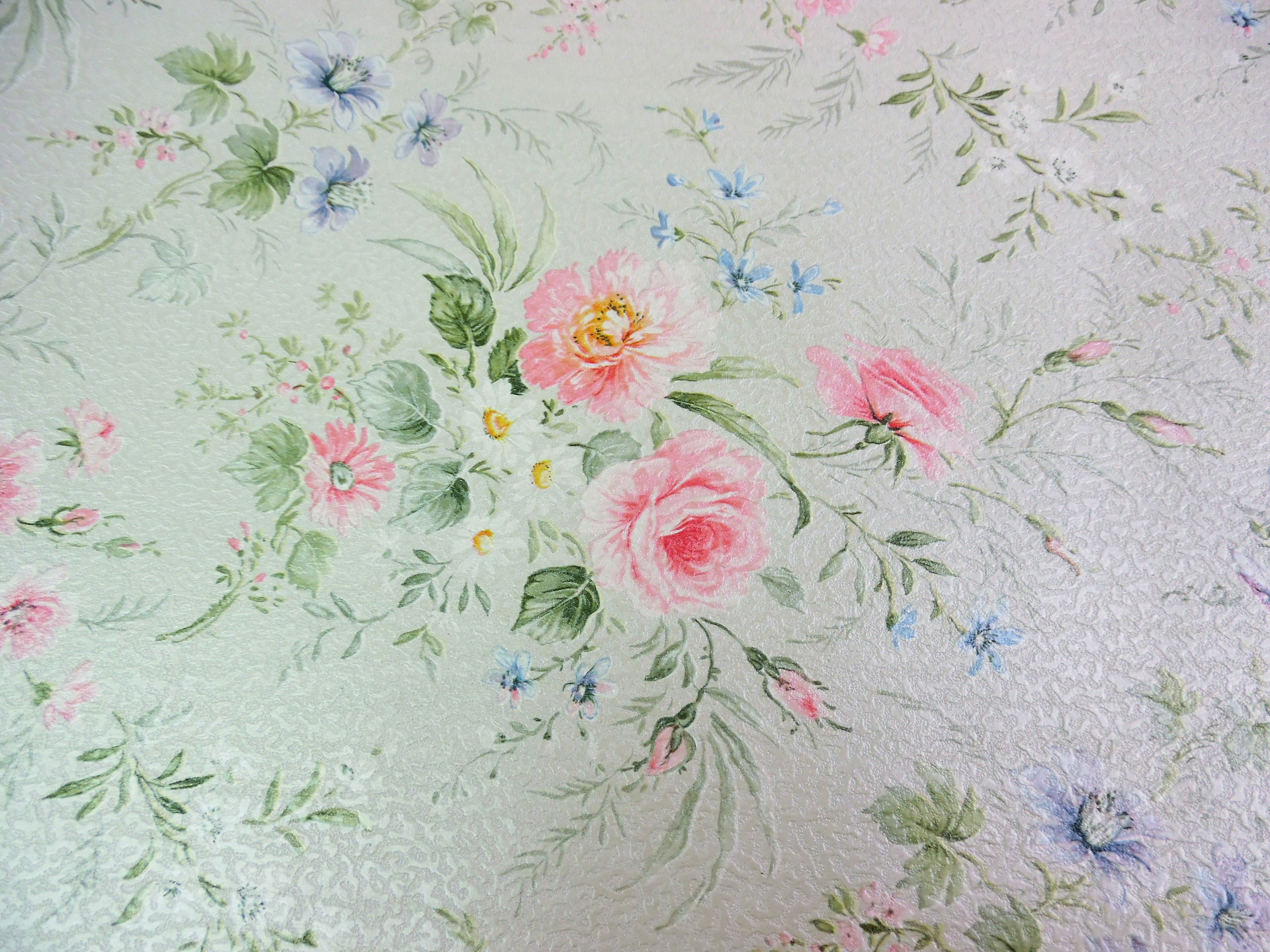 Chrysanths - HD Wallpaper 