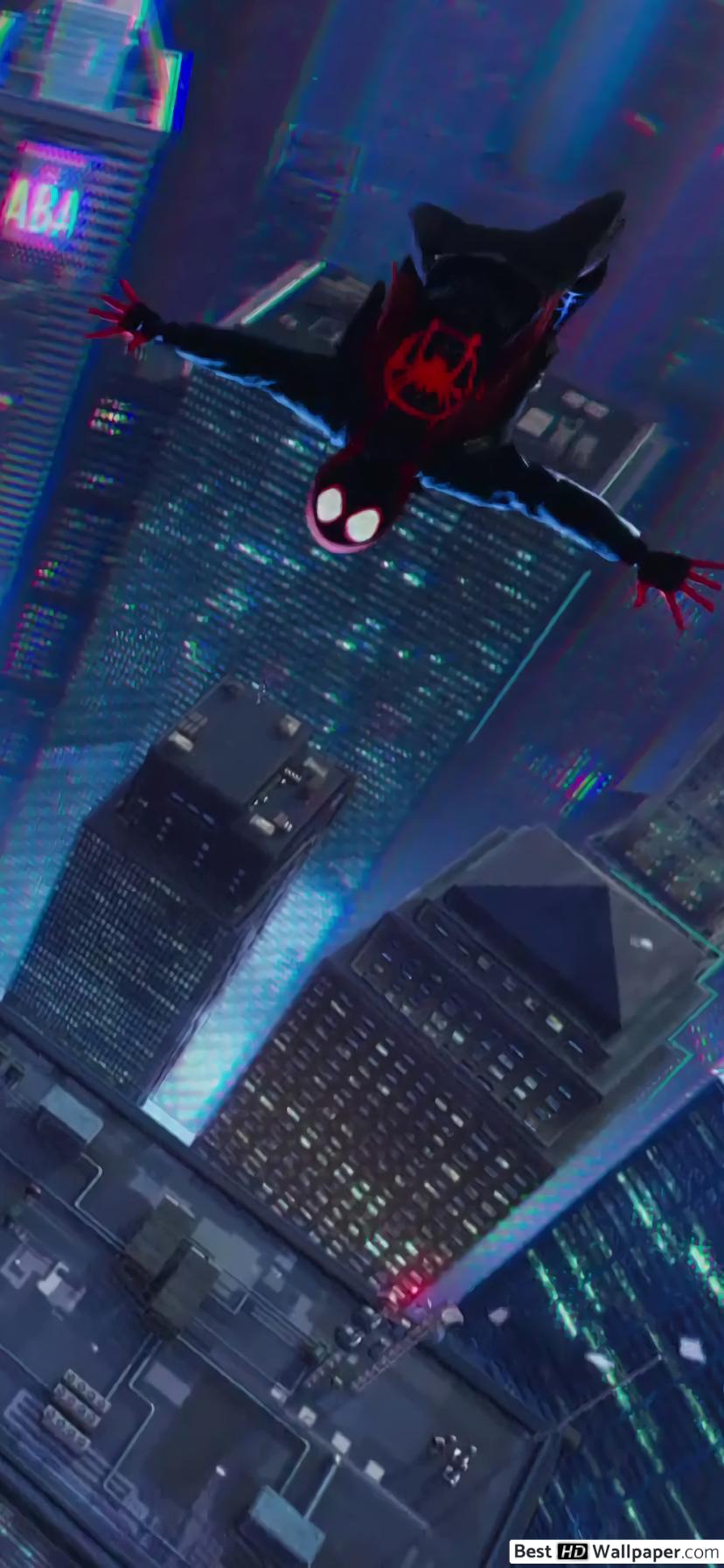 Spider Man Into The Spider Verse - HD Wallpaper 