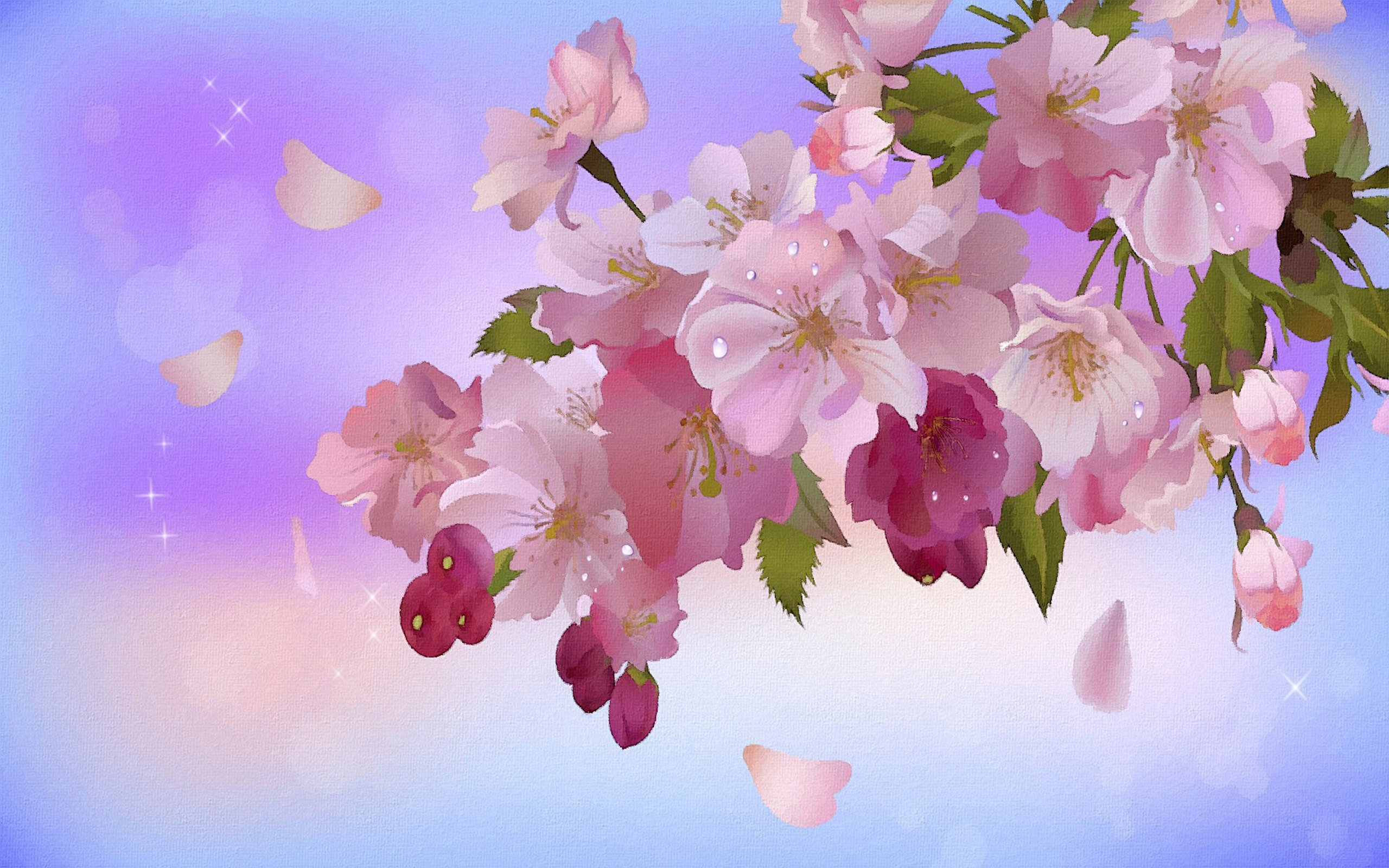 Protectores De Pantalla Para Pc Gratis 2560x1600 Wallpaper teahub.io