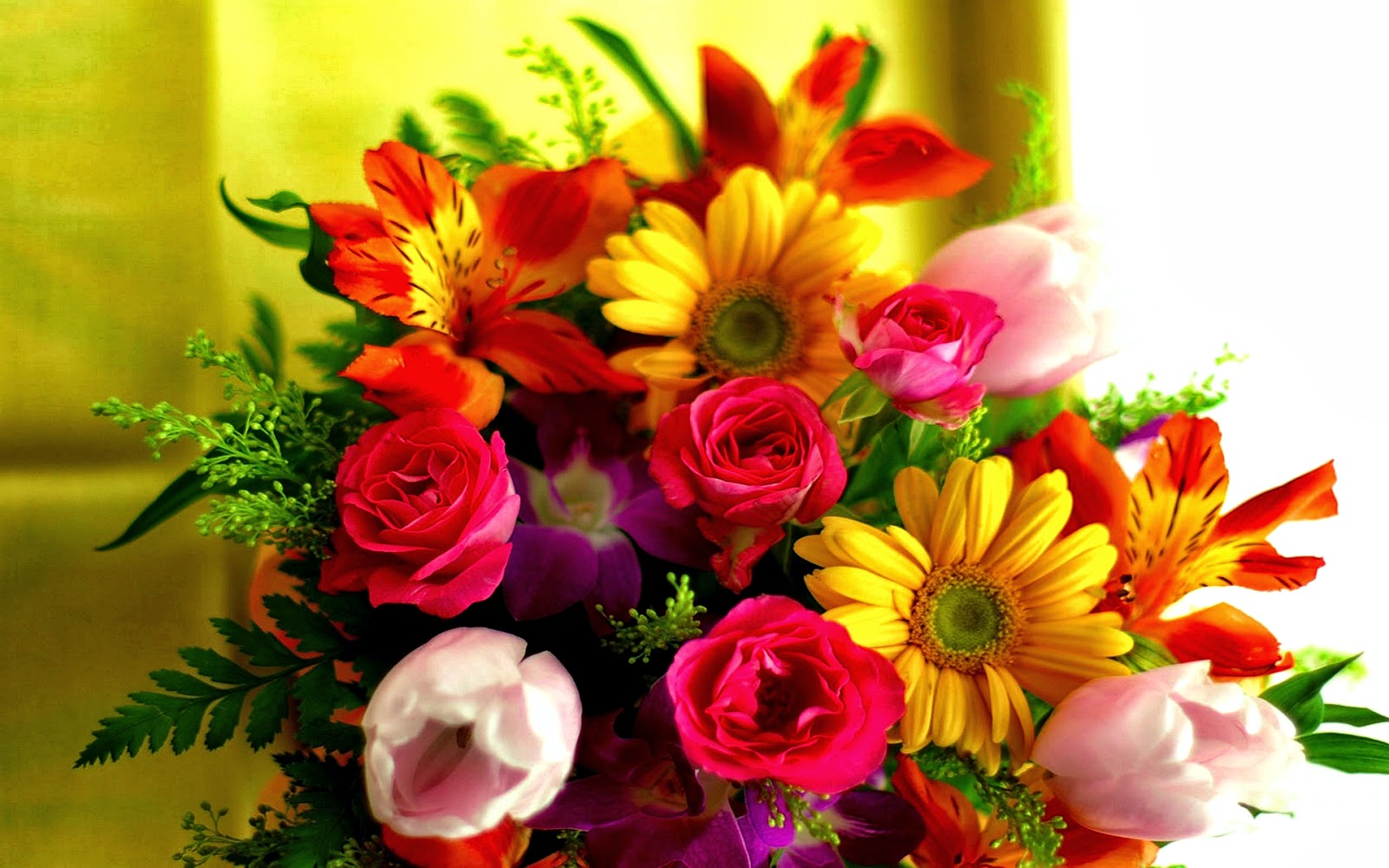 Any Type Of Flower - HD Wallpaper 