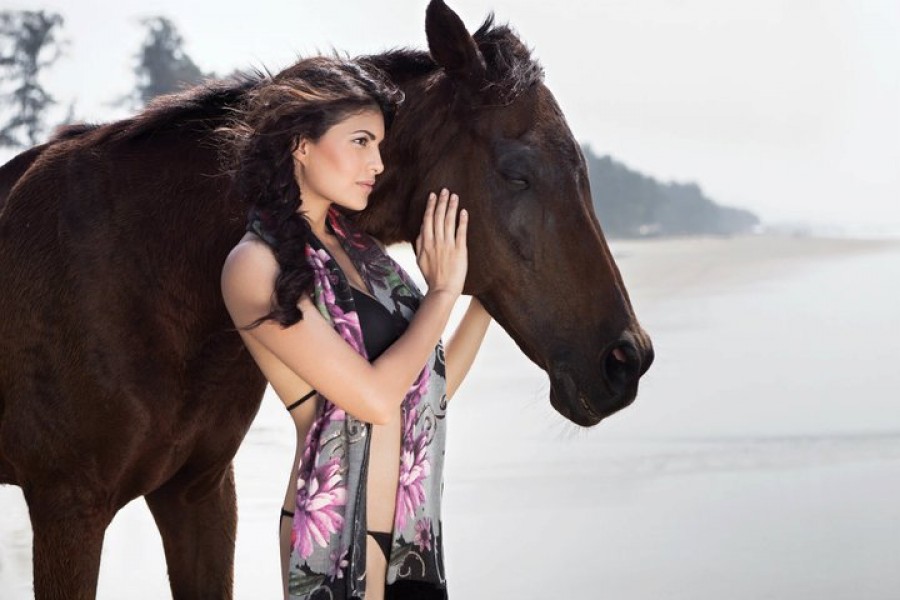 Jaclin Fernandes Images Hd - HD Wallpaper 