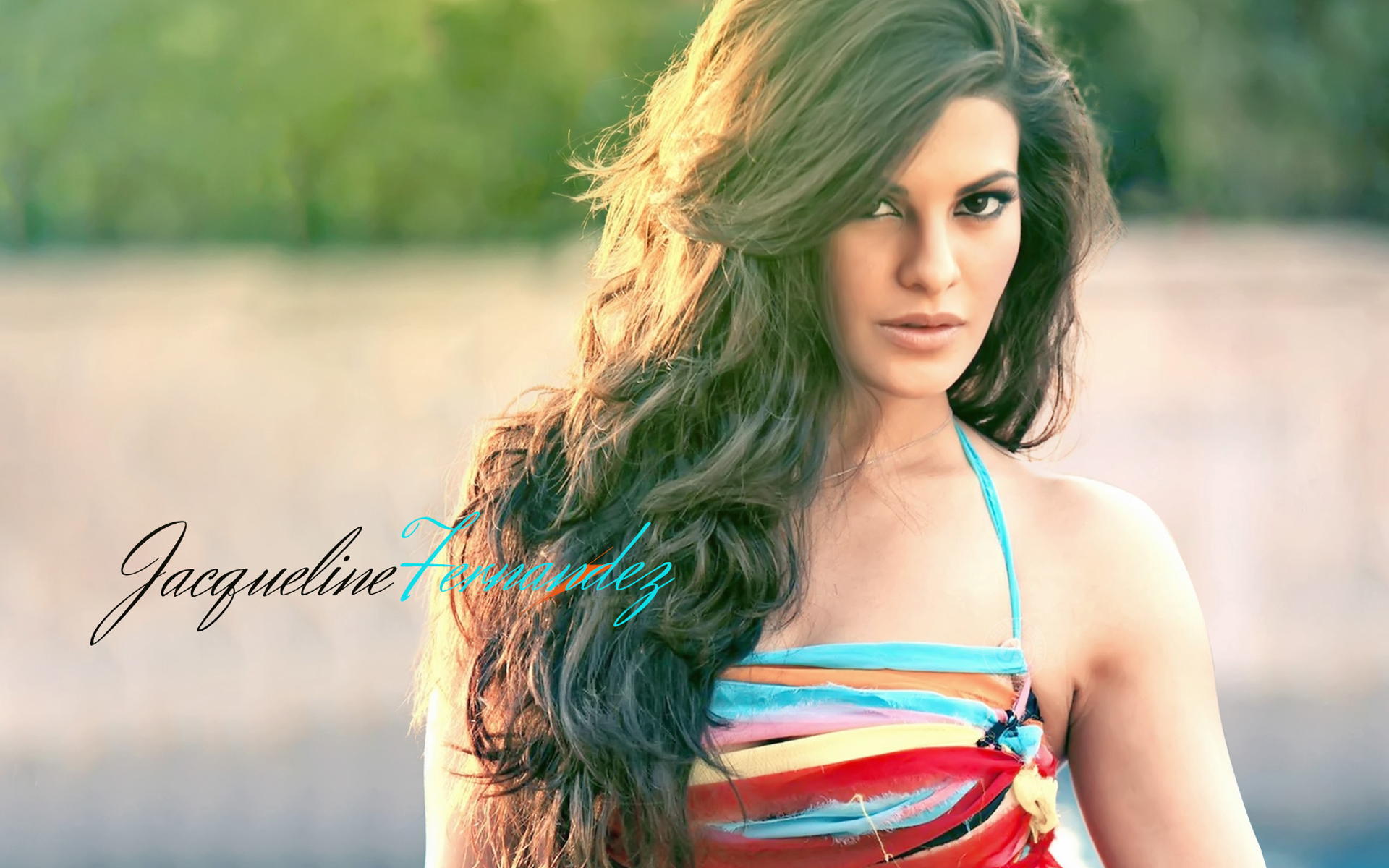 Jacqueline Fernandez Roy Movie - HD Wallpaper 