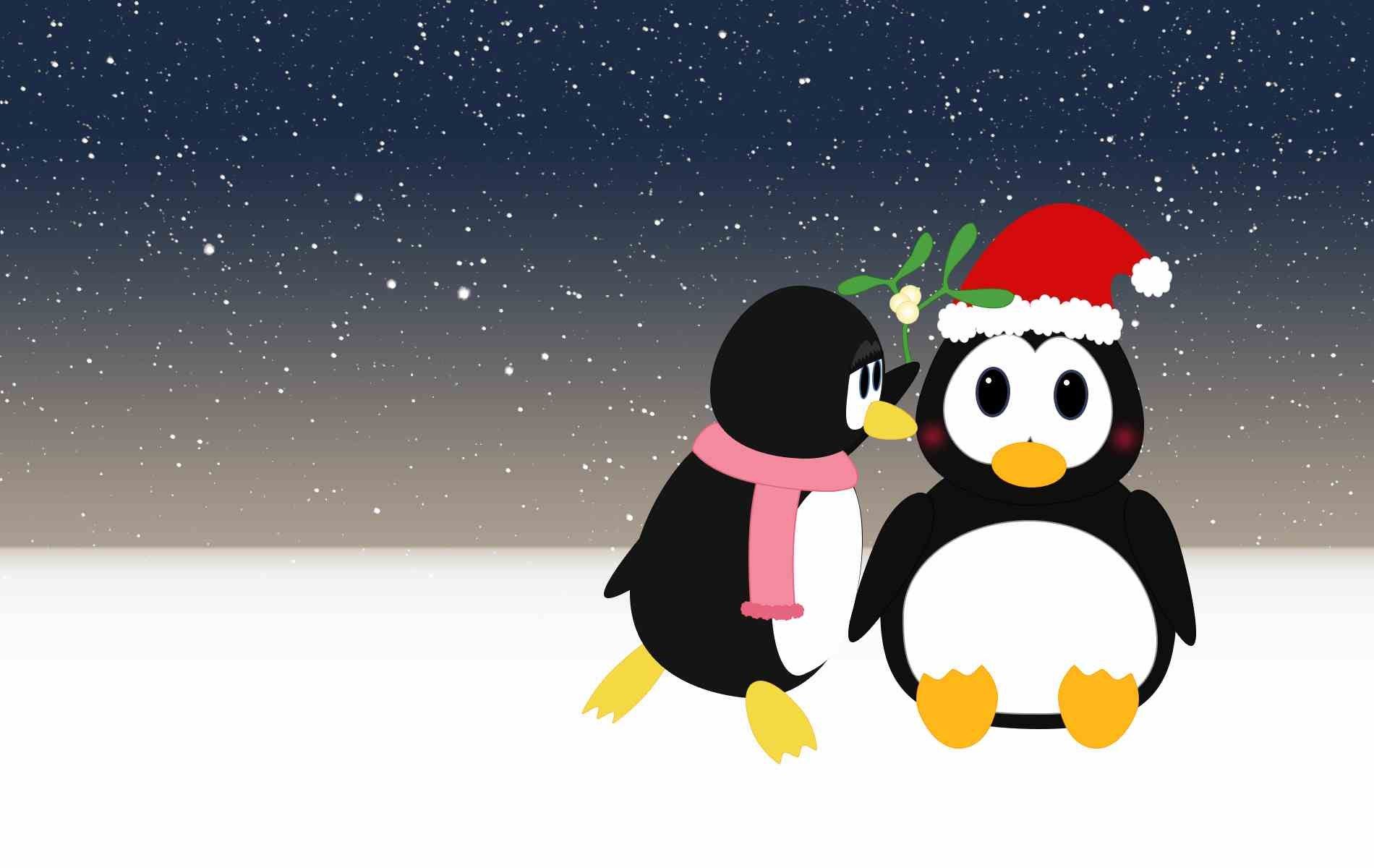 Cute Penguin Wallpaper For Desktop-642g239 - Christmas Wallpaper Hd Penguin - HD Wallpaper 