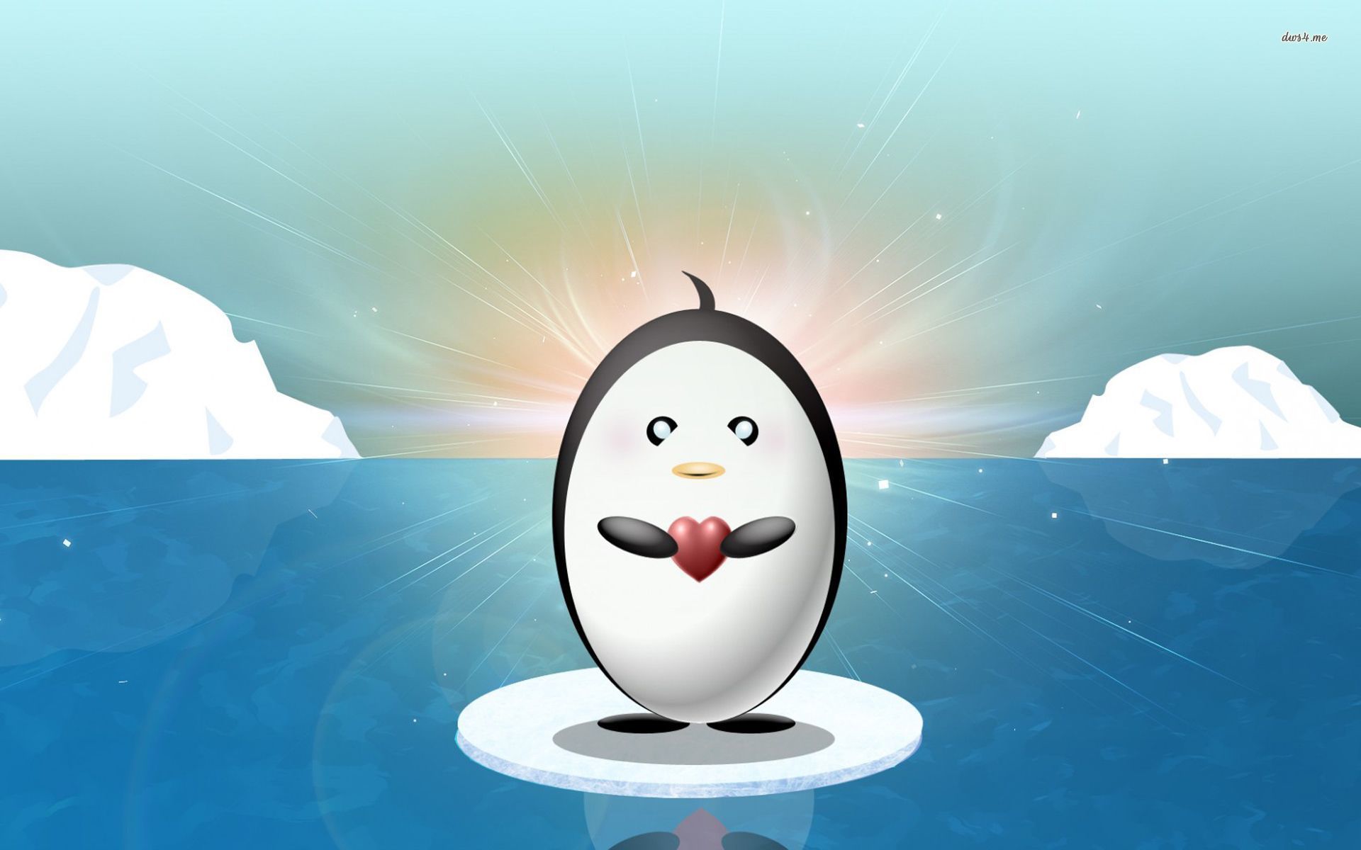 Penguins Heart - HD Wallpaper 