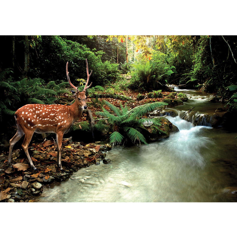 Deer Waterfall - HD Wallpaper 
