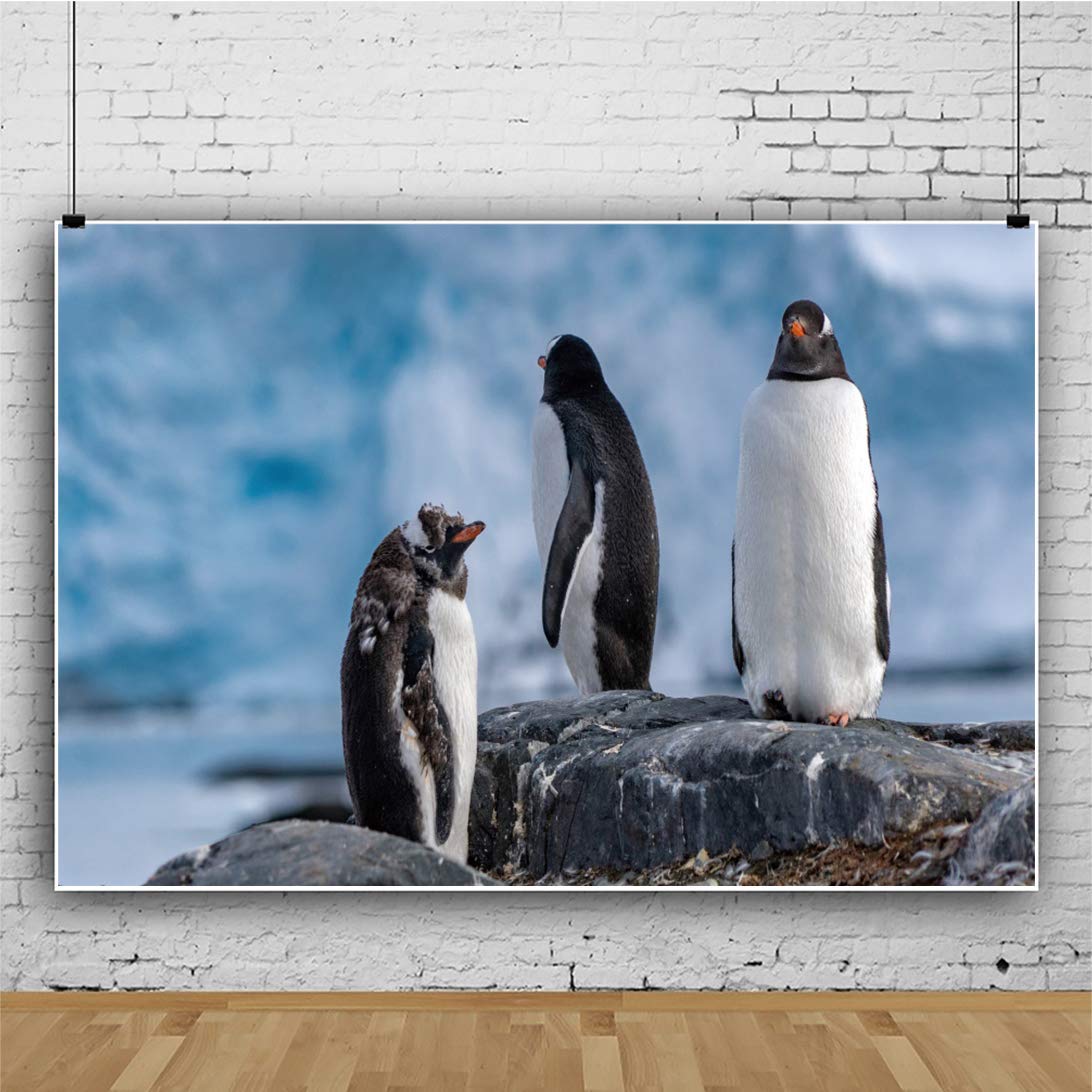 Photographic Studio - HD Wallpaper 