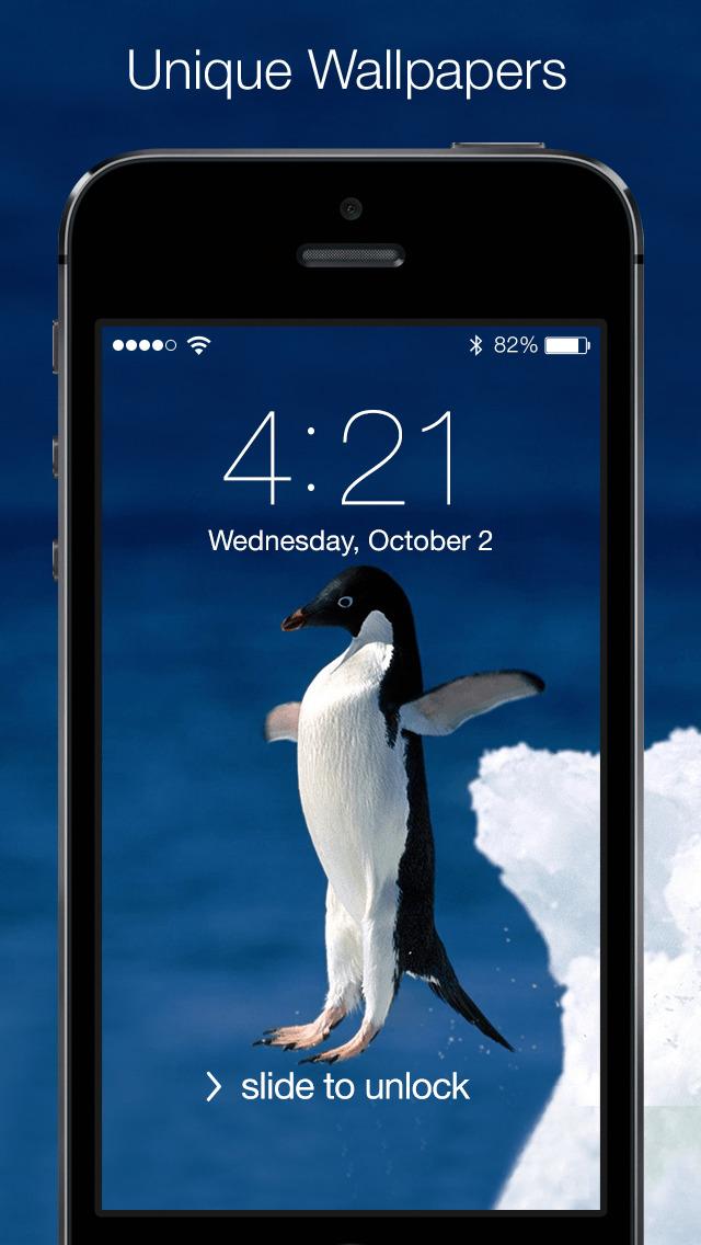 Penguin Jumping Off Cliff - 640x1136 Wallpaper - teahub.io