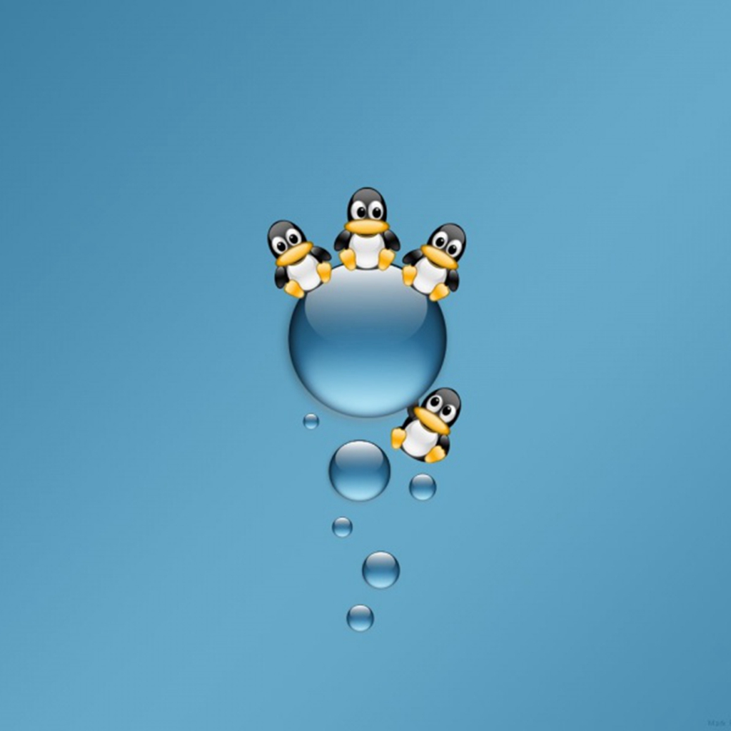 Linux Penguin - HD Wallpaper 