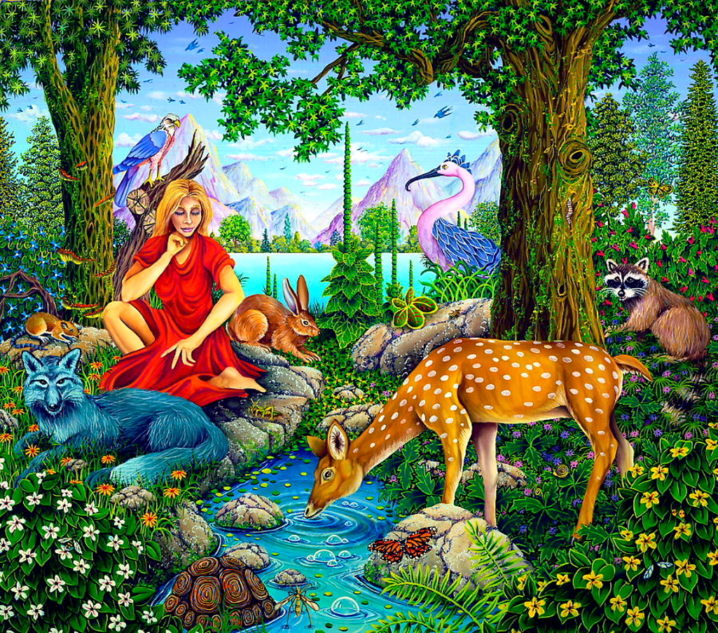 Forest Animals, - Forest Animals And Birds - 1025x903 Wallpaper Forest Animals, - Forest Animals And Birds - 1025x903 Wallpaper
