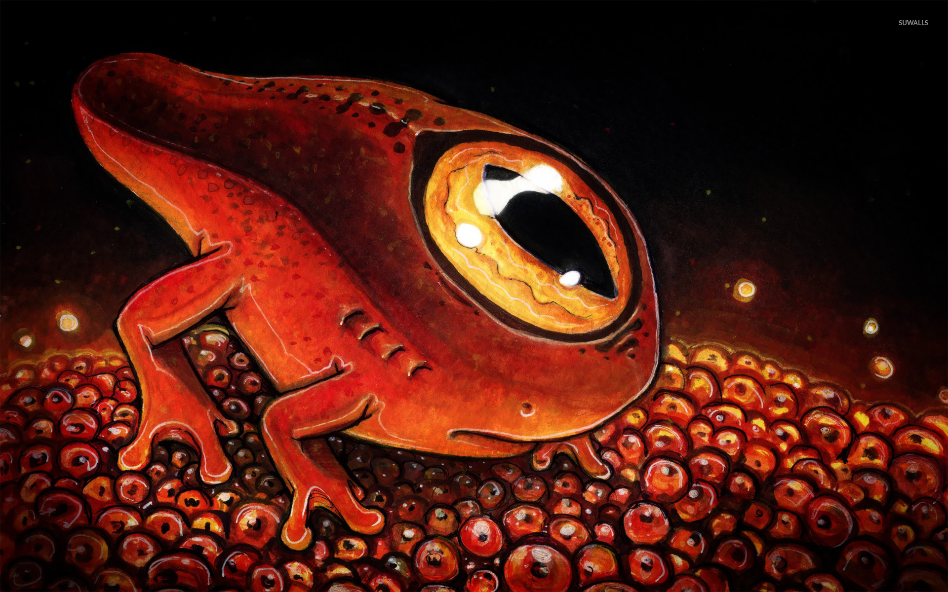 Amphibian - HD Wallpaper 