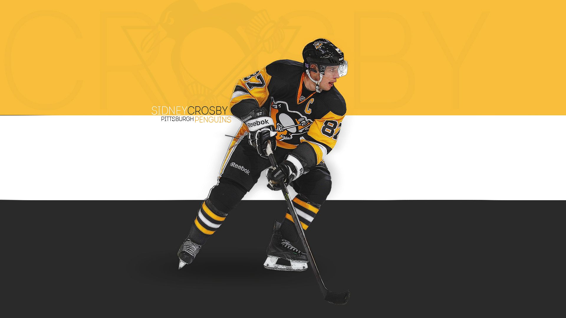 College Ice Hockey - HD Wallpaper 