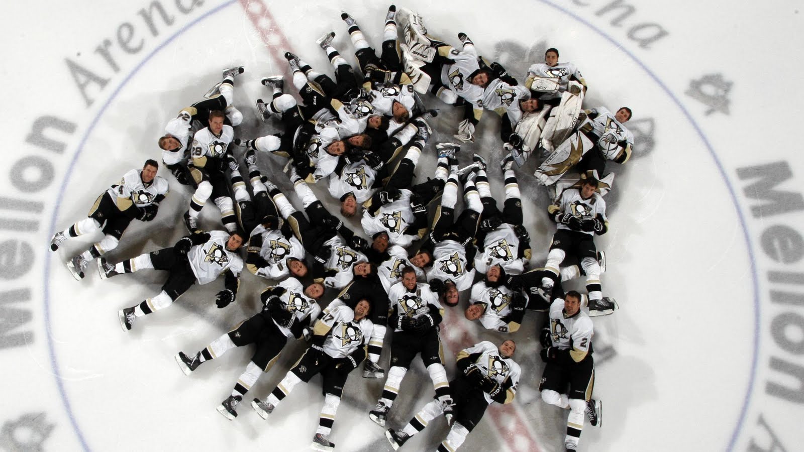 Pittsburgh Penguins - HD Wallpaper 