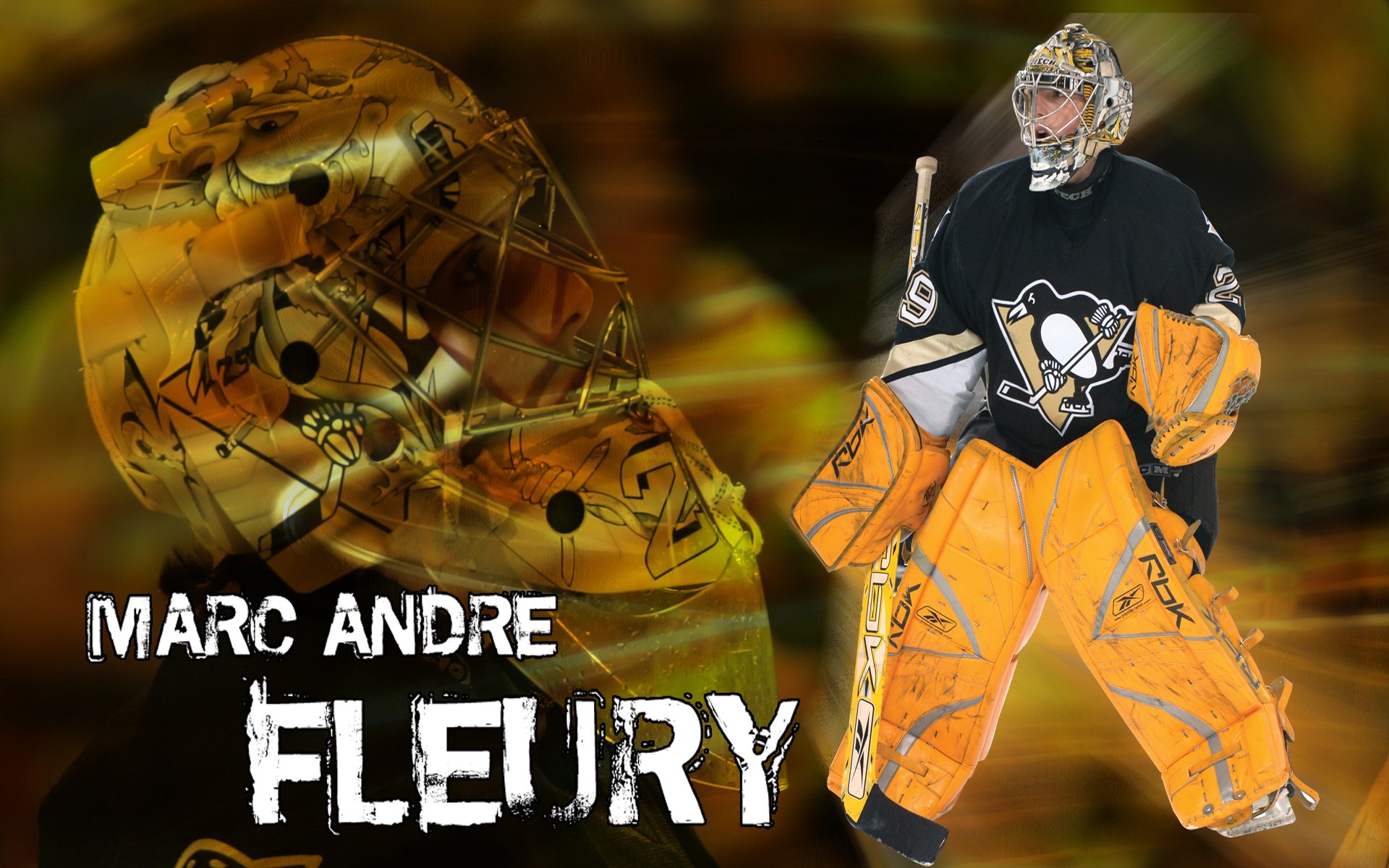 73, Sorted Picture - Goaltender - HD Wallpaper 