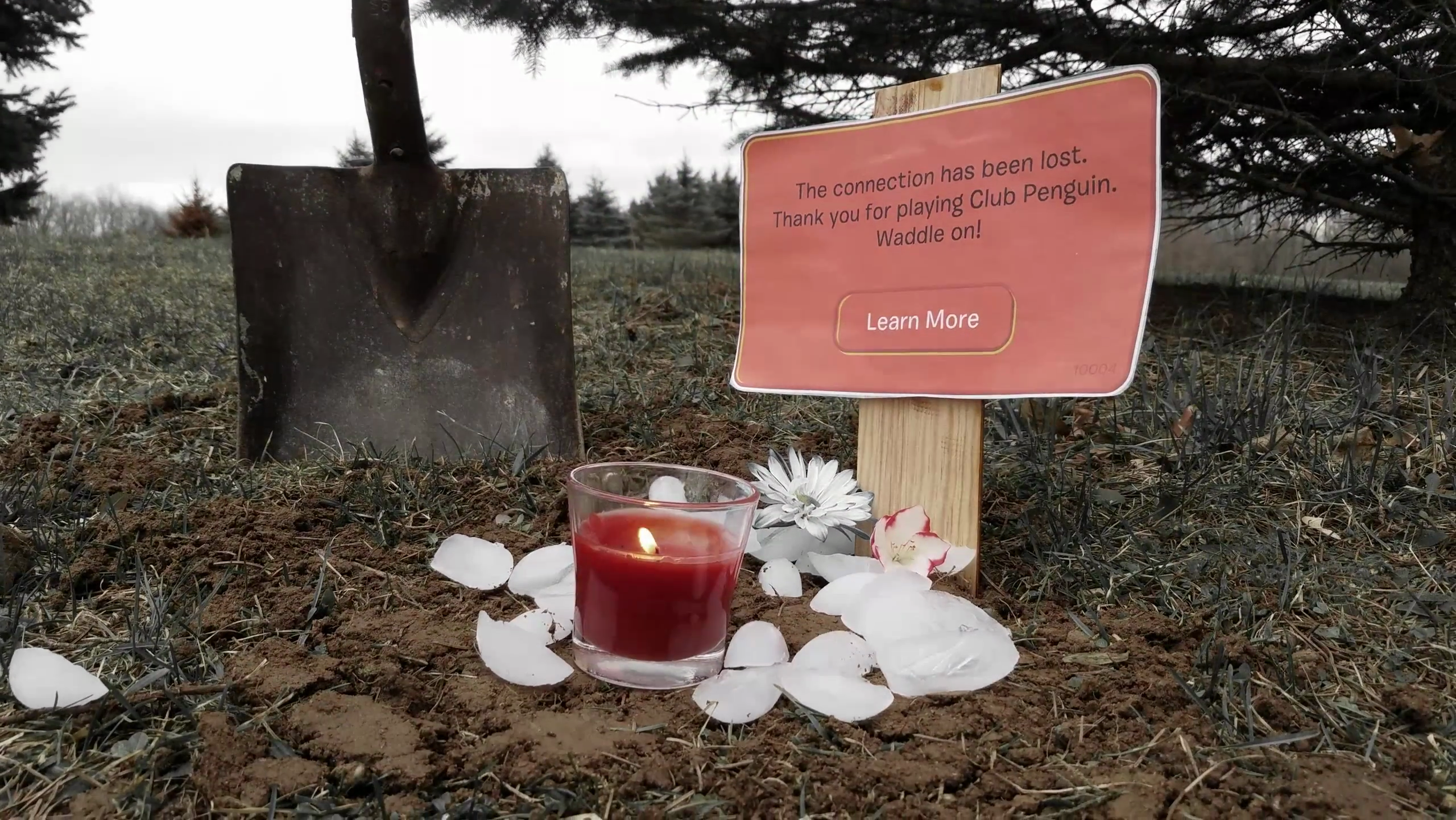 Club Penguin Connection Lost - HD Wallpaper 