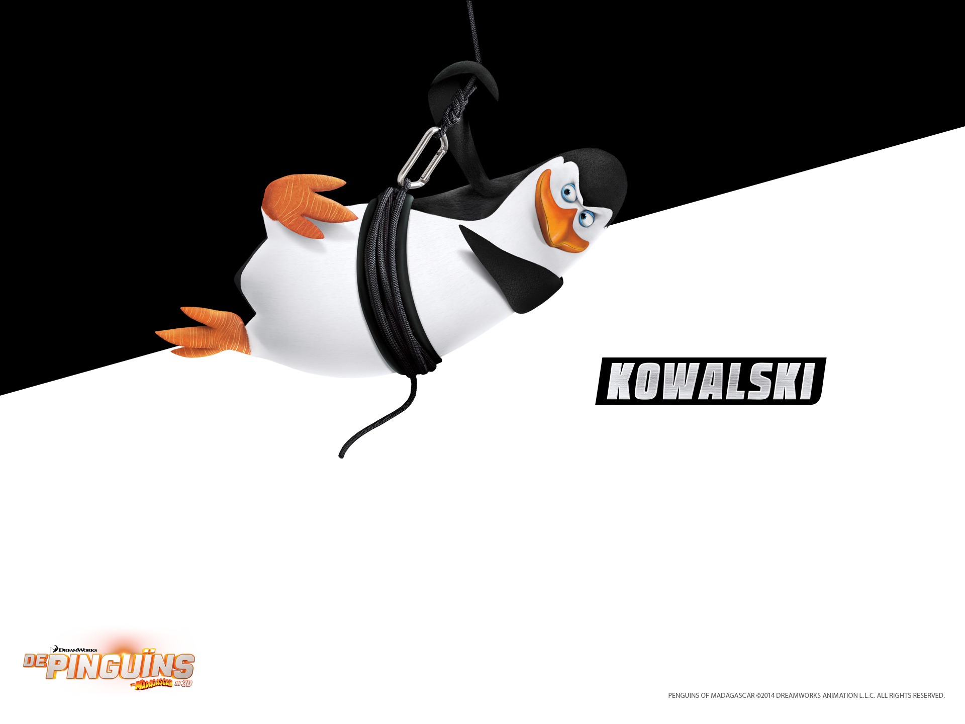 Kowalski Wallpaper Penguins Of Madagascar - HD Wallpaper 