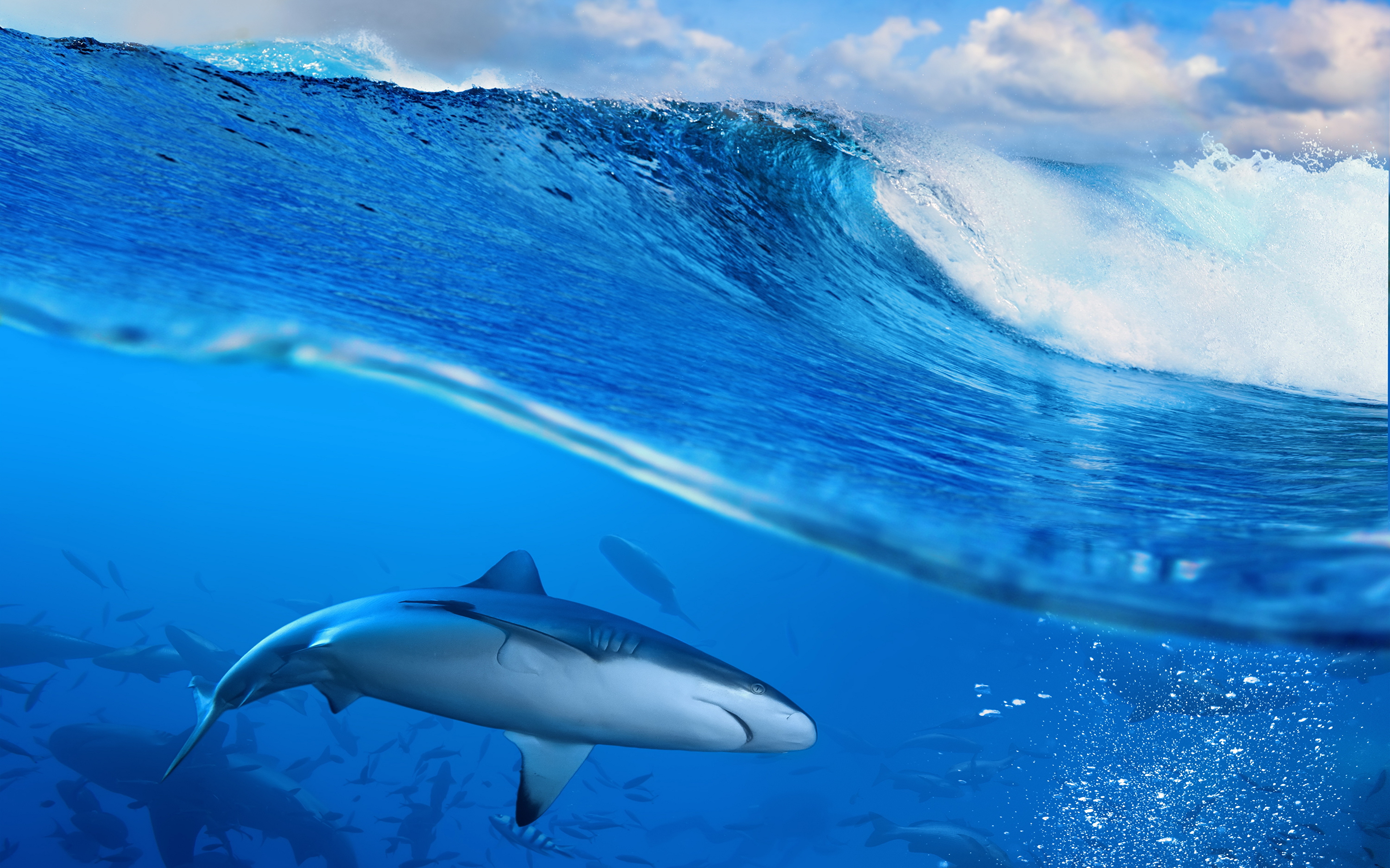 3d Wave Shark - HD Wallpaper 