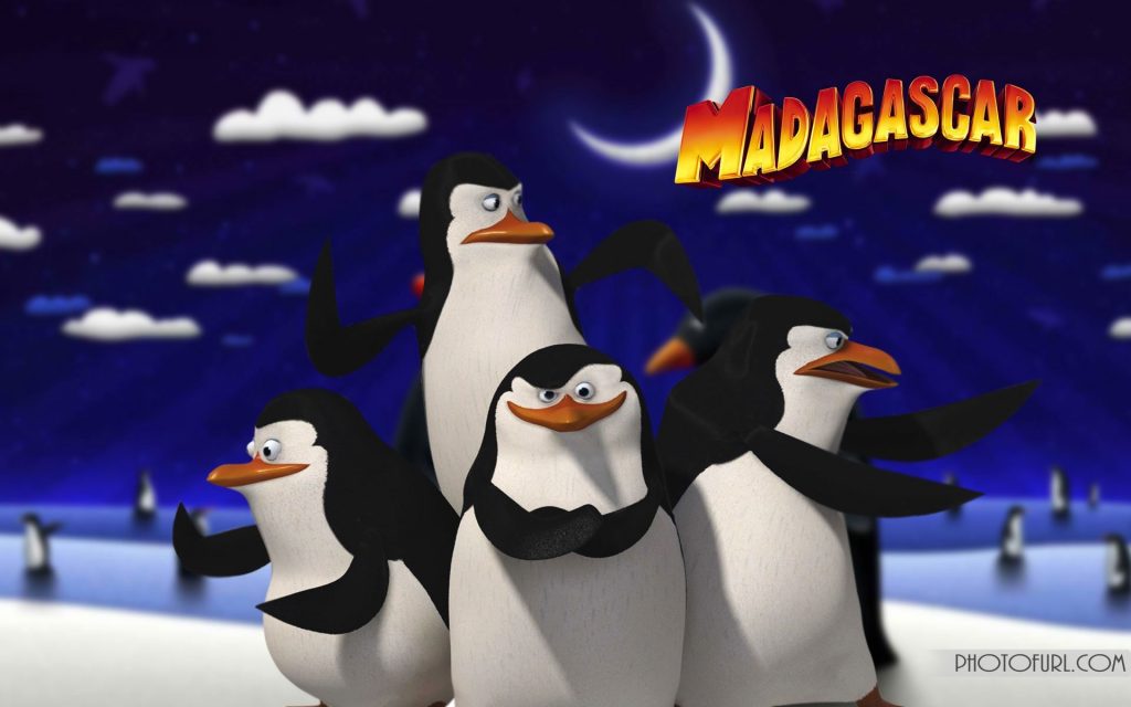 Penguins Of Madagascar Wallpapers Amazing Penguins - HD Wallpaper 