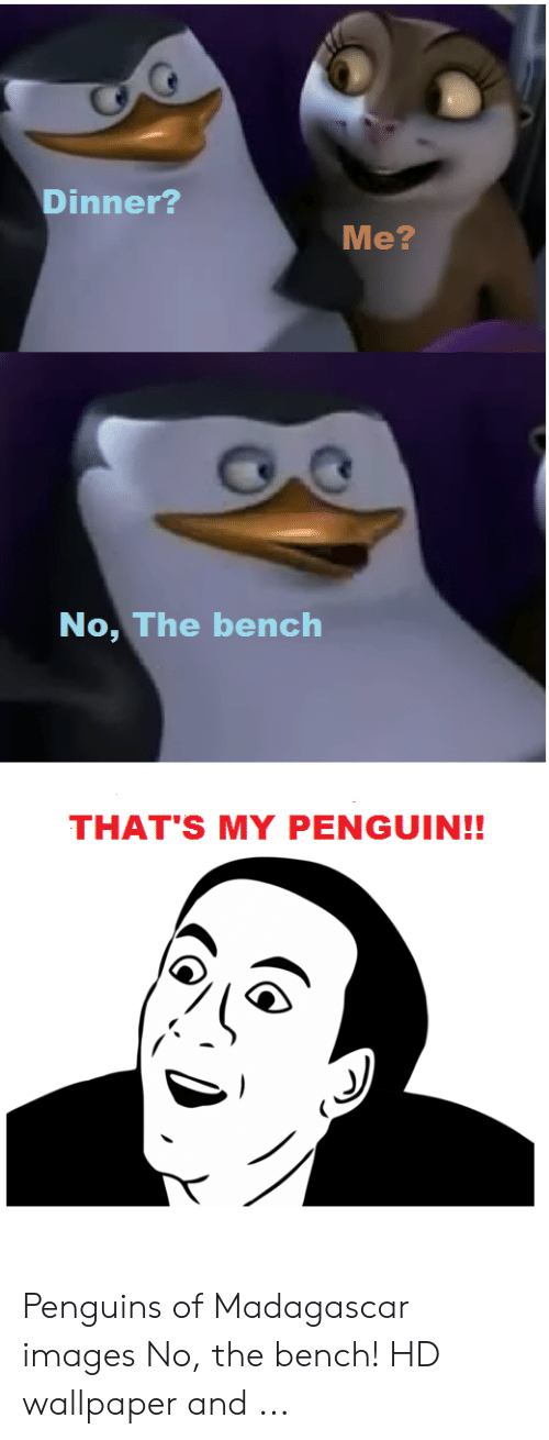 Do You Wanna Dance Meme - HD Wallpaper 